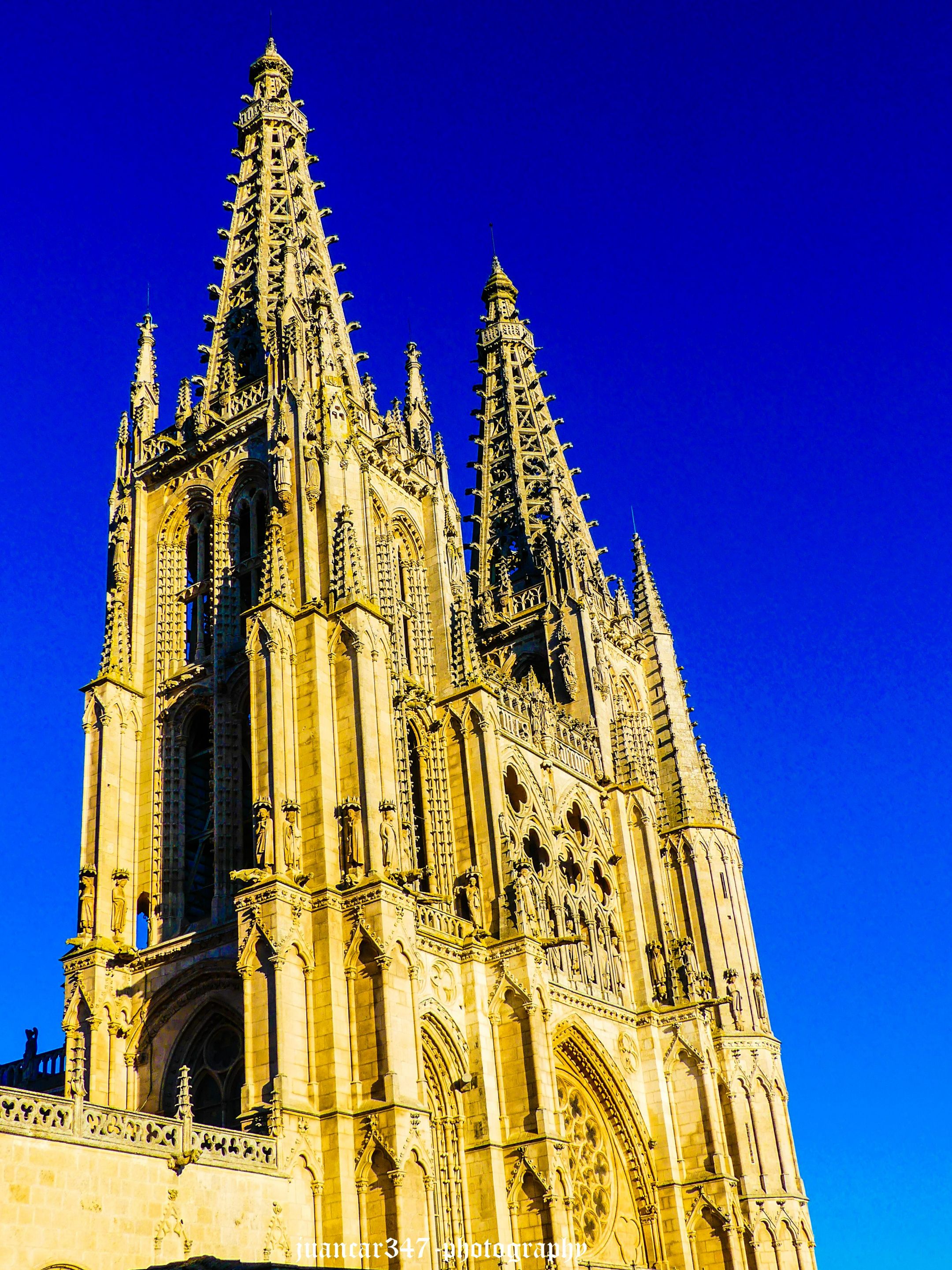 P1210116_edited.jpg
