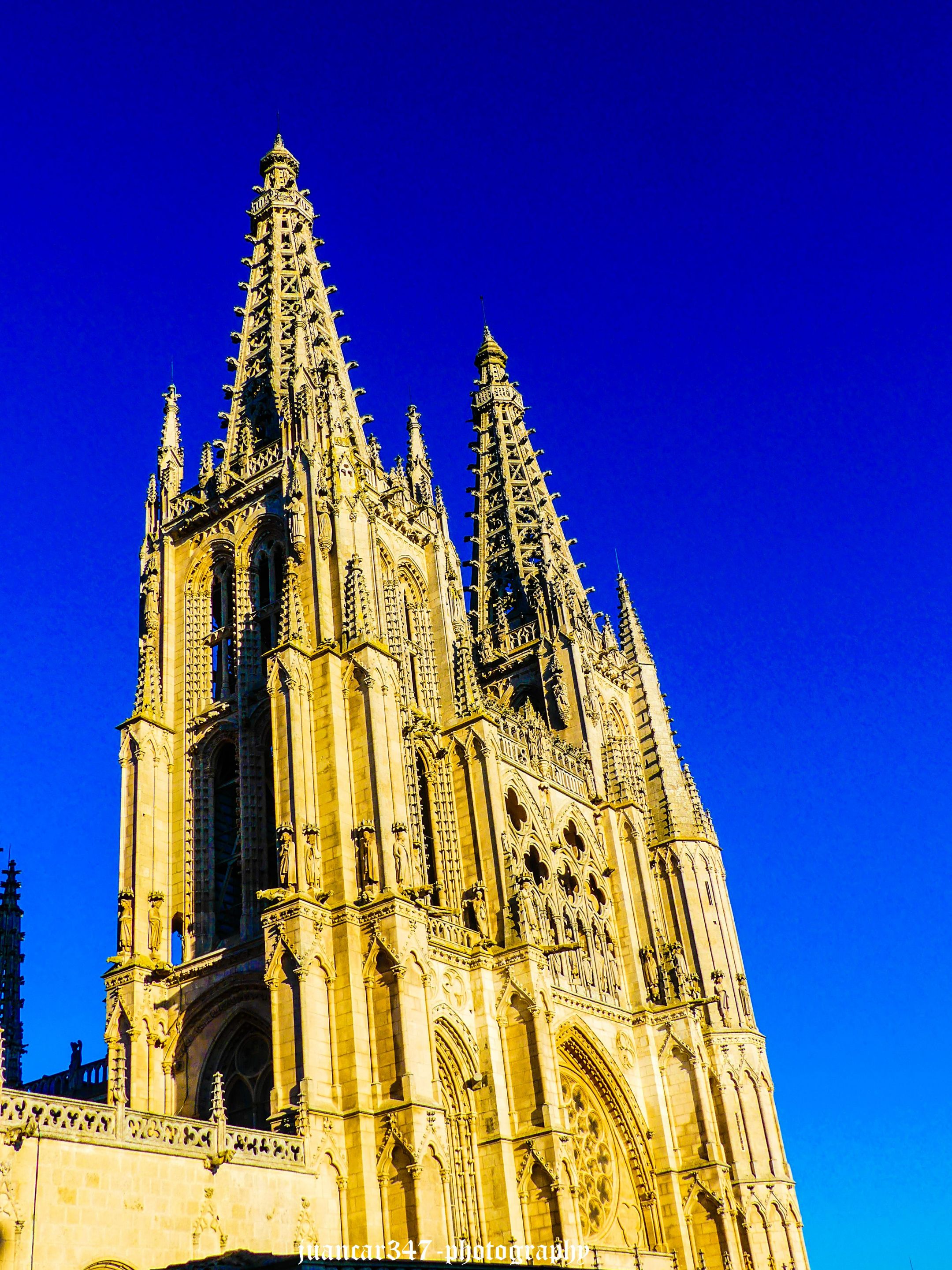 P1210115_edited.jpg