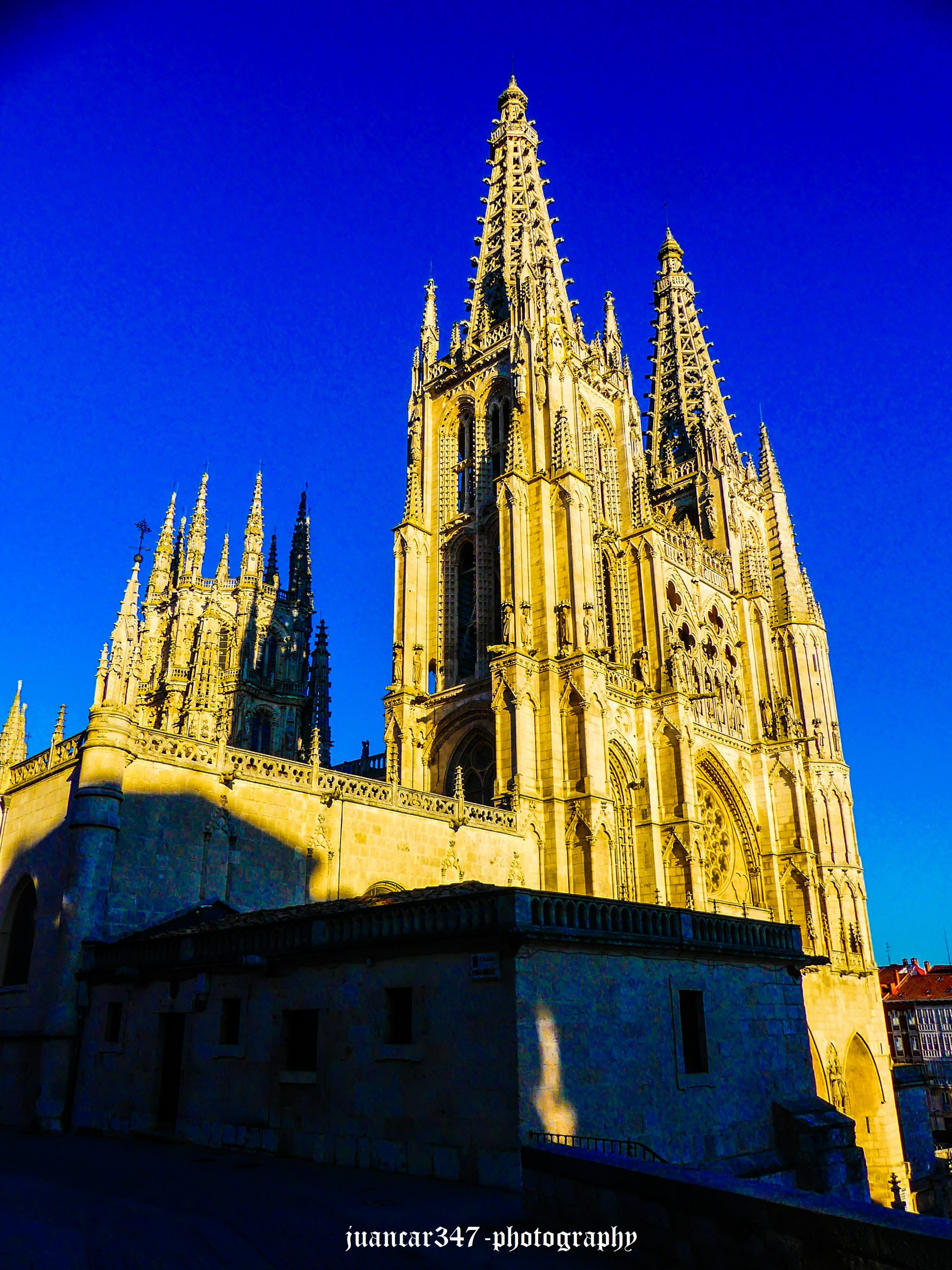 P1210114_edited.jpg