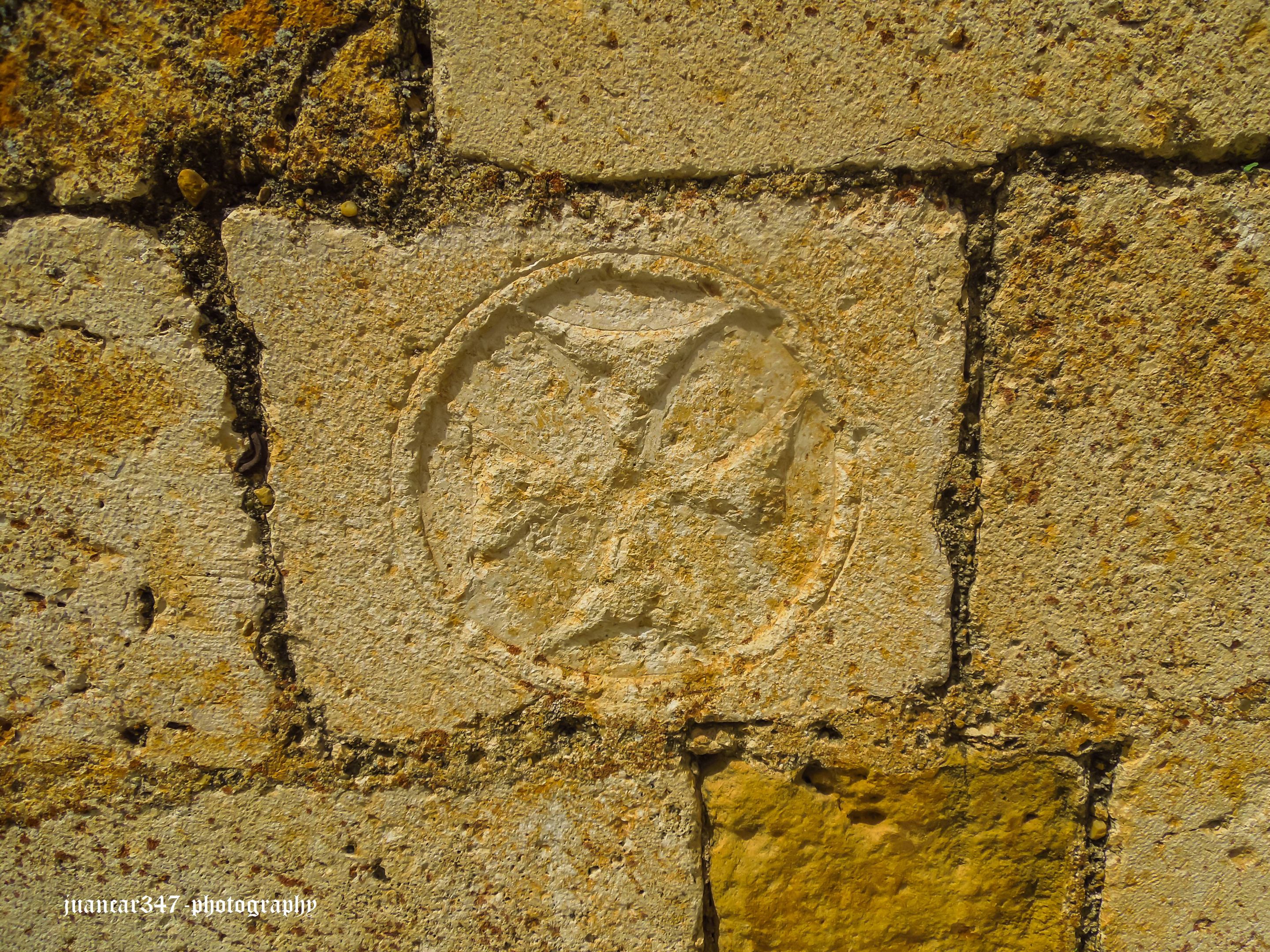 DSCN2958.JPG