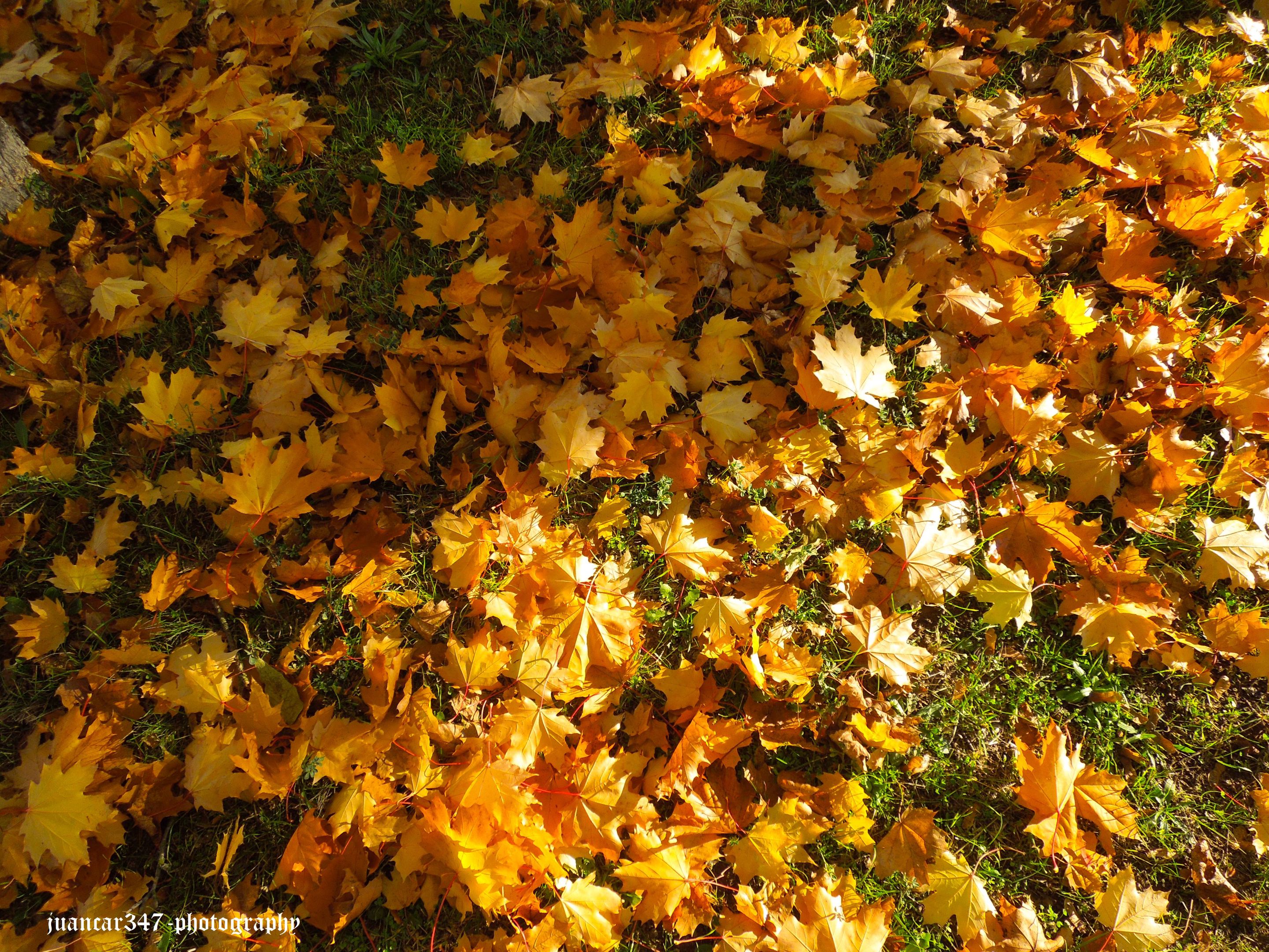 DSCN3220.jpg