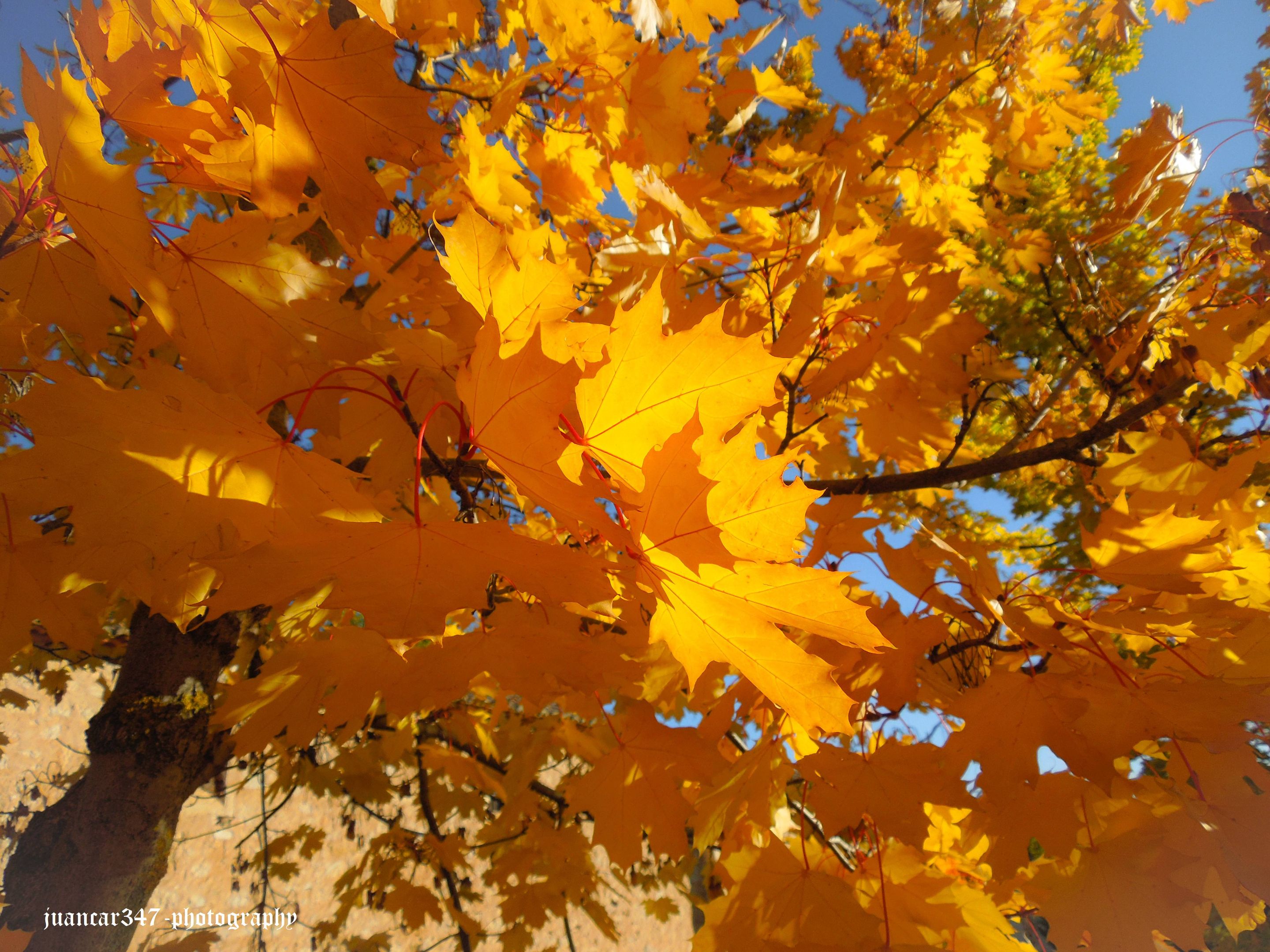 DSCN3219.jpg