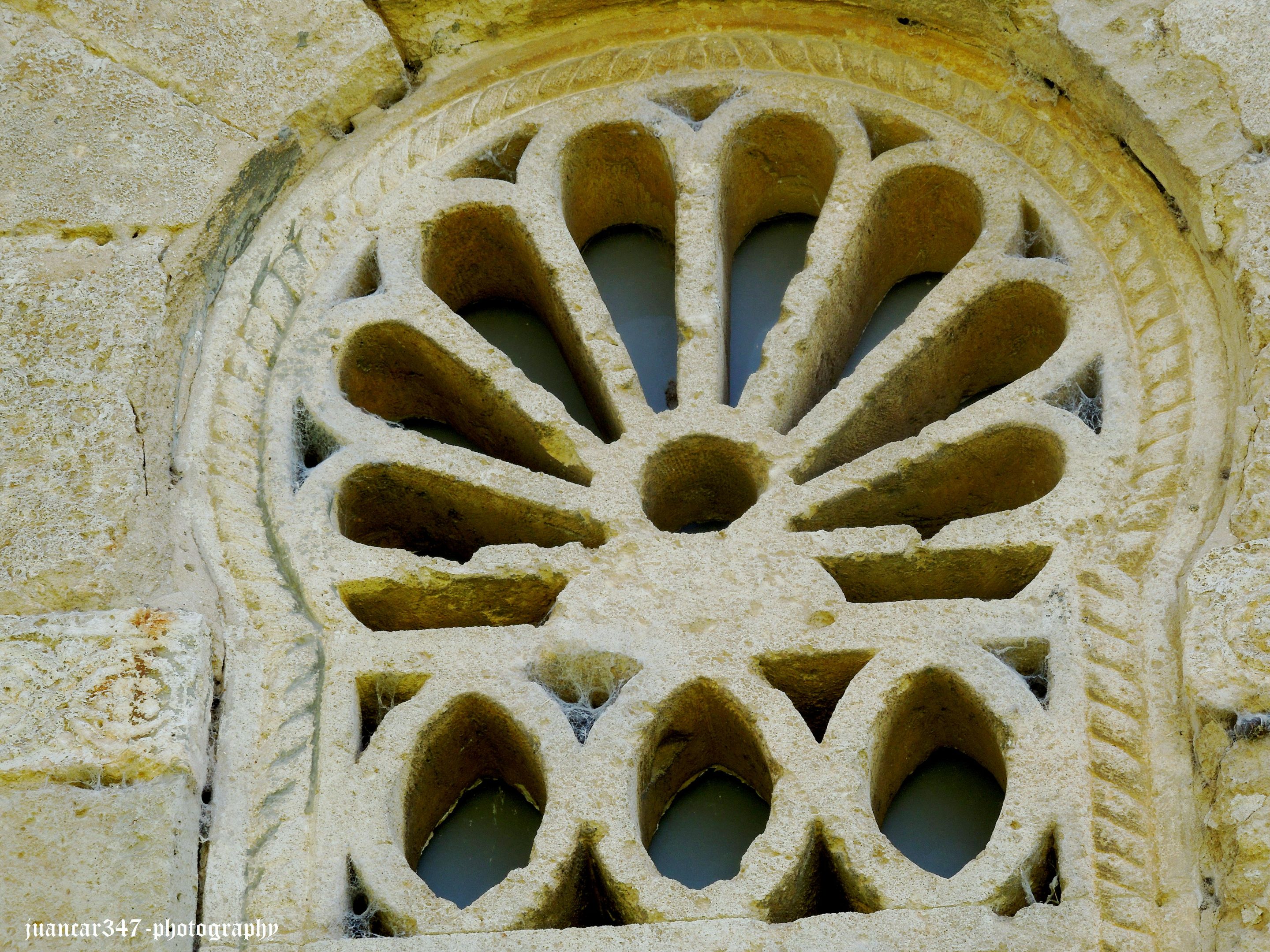 DSCN2599_acopia.jpg