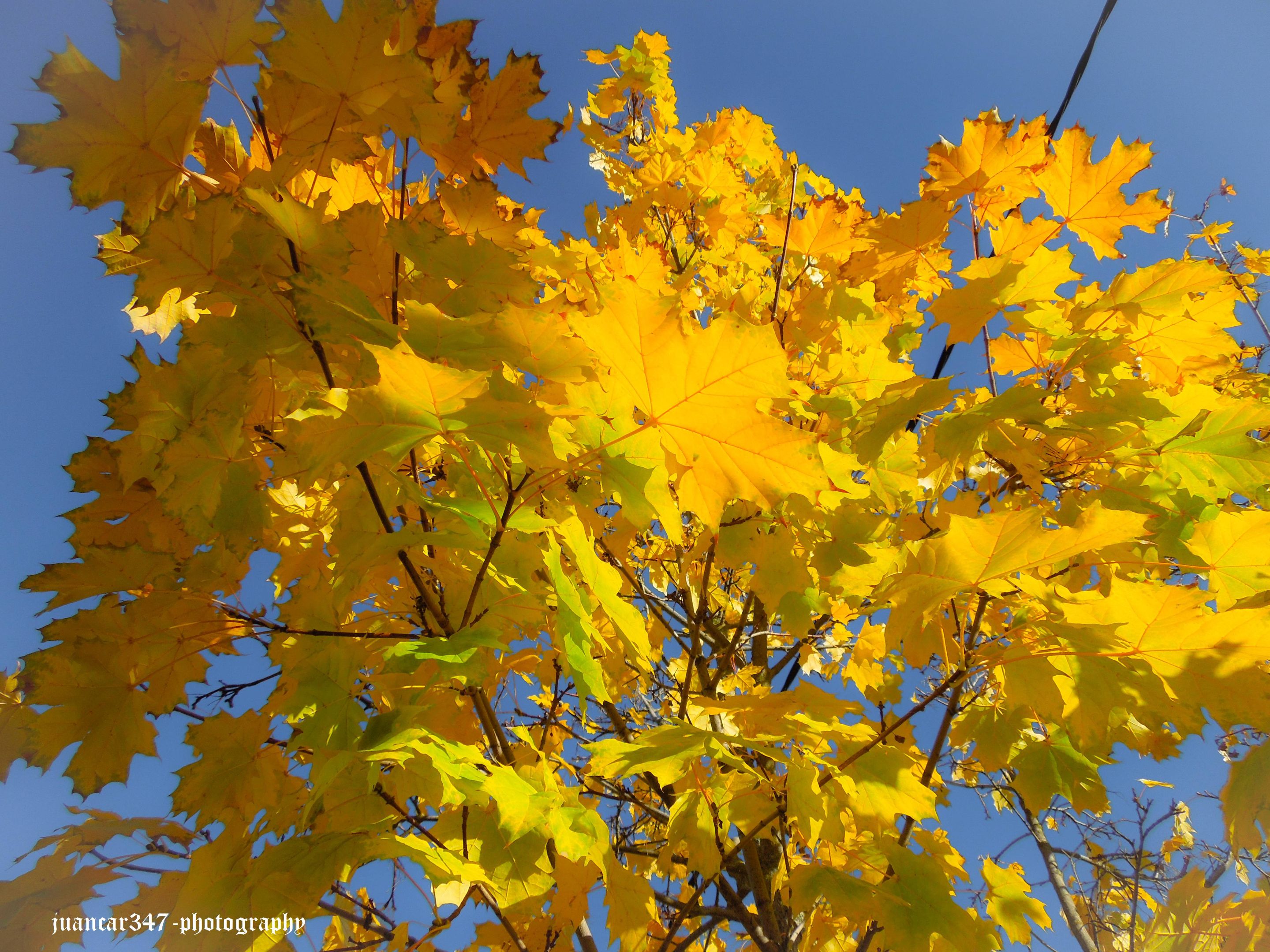 DSCN3228.jpg