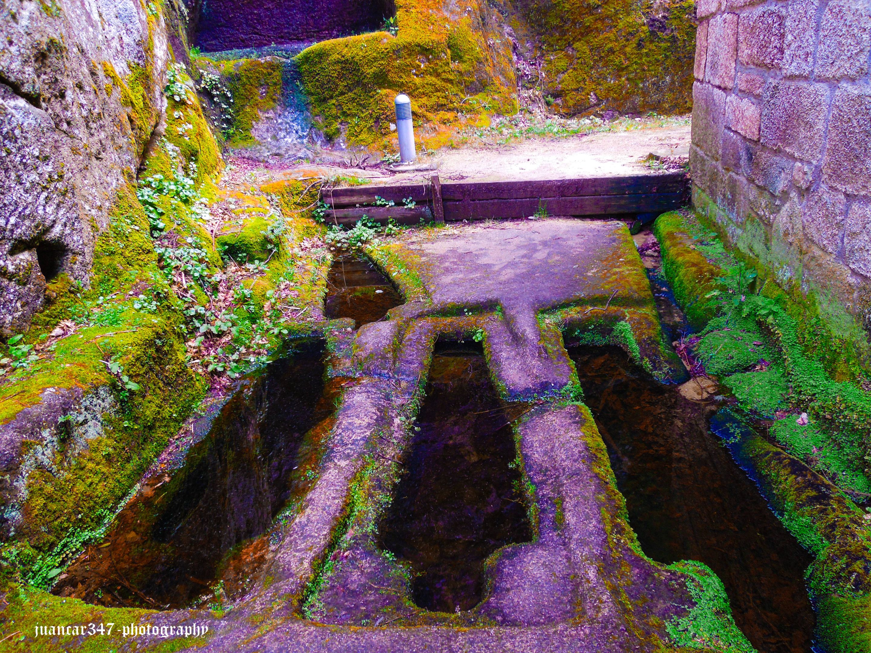 DSCN1154.JPG