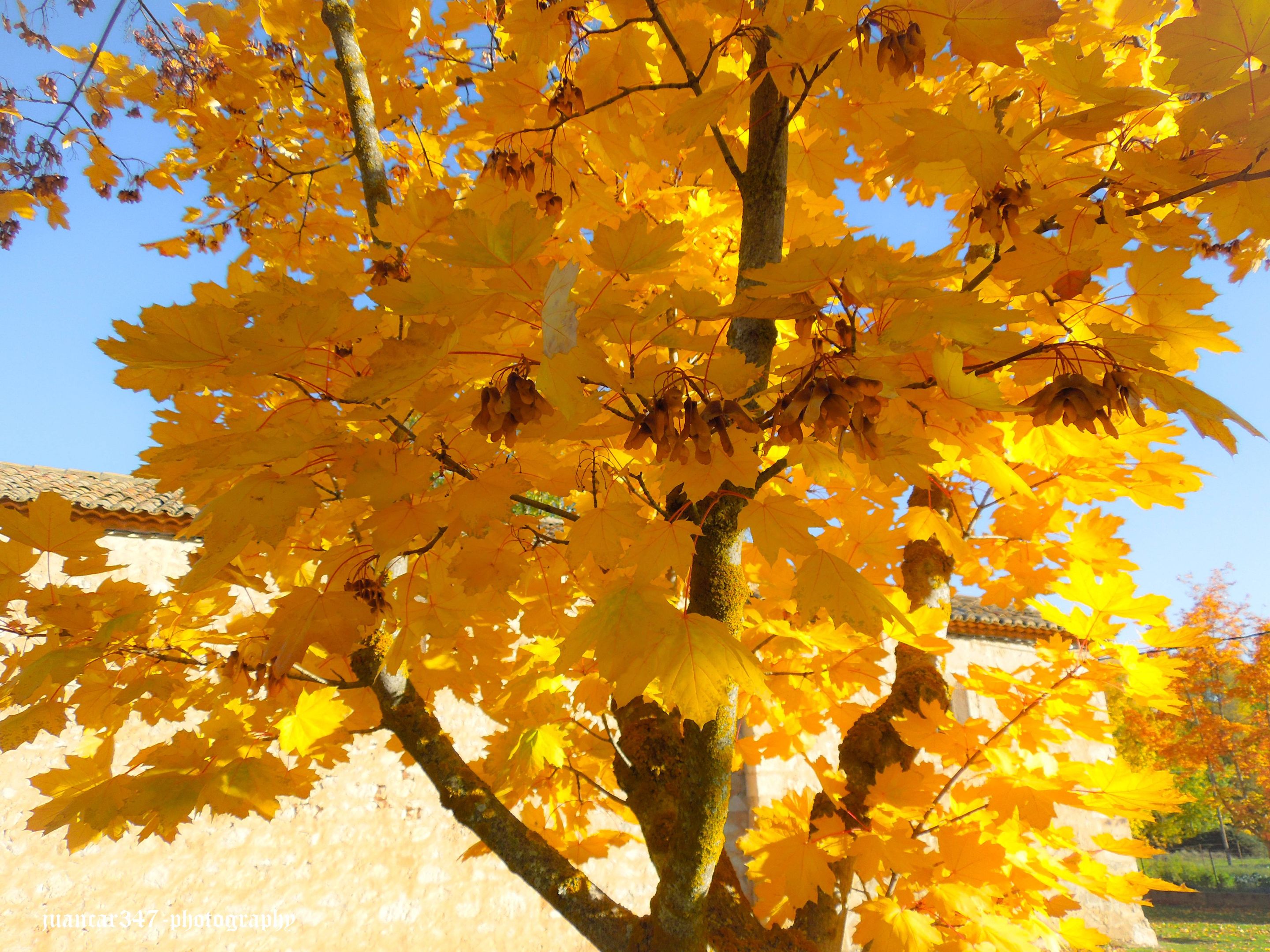 DSCN3223.jpg
