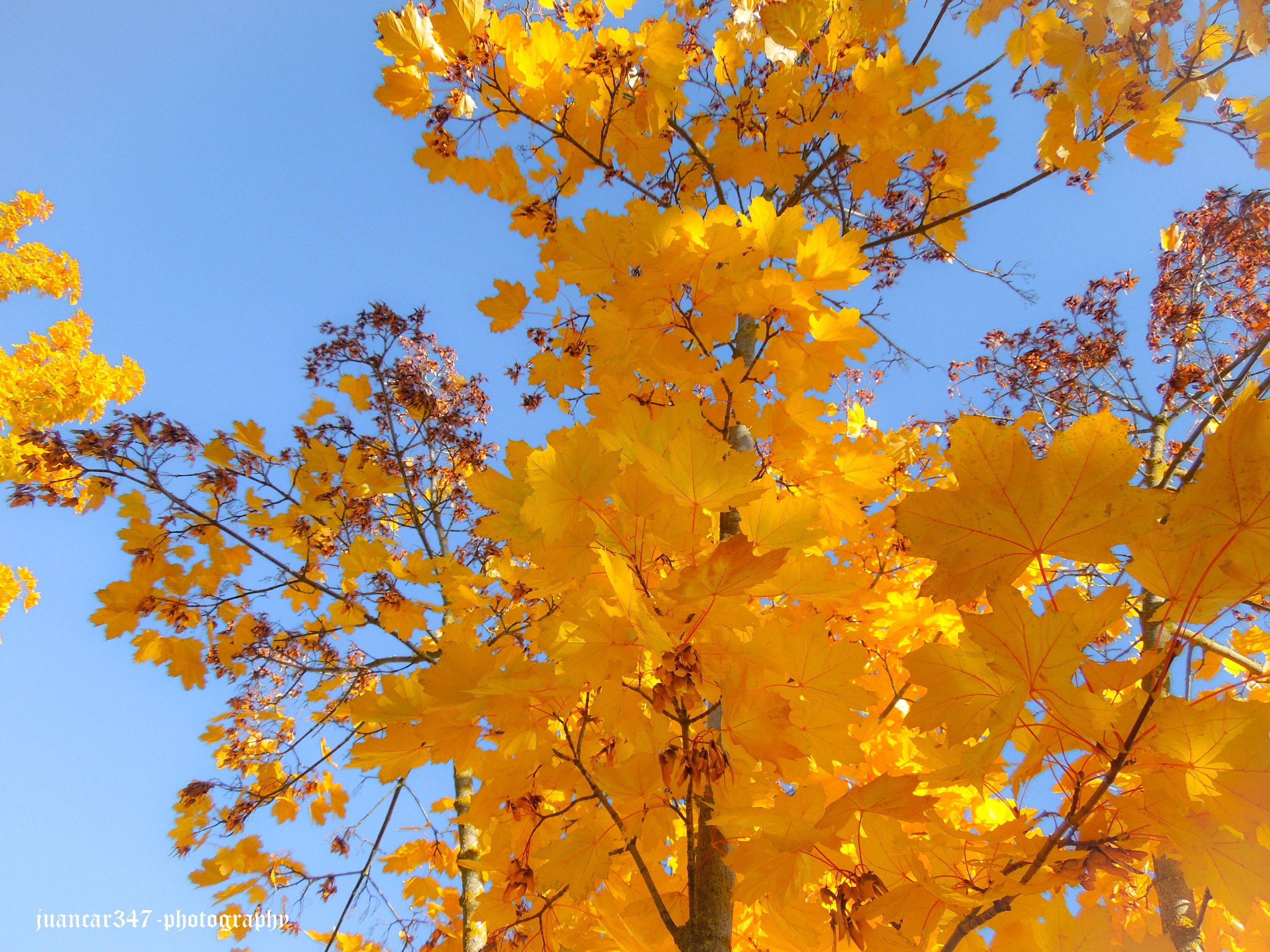 DSCN3225.jpg