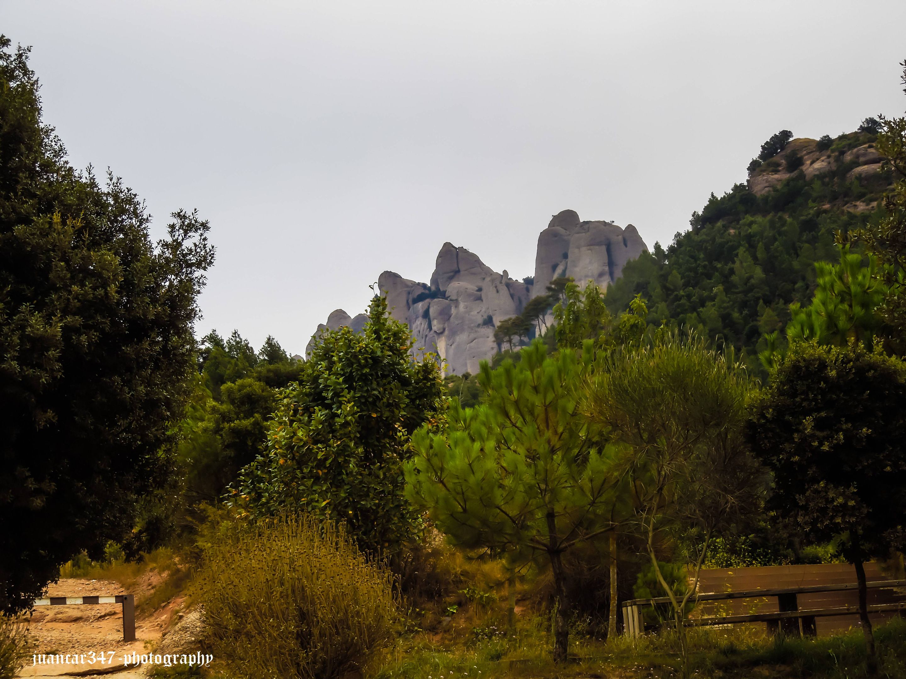 DSCN3475.JPG