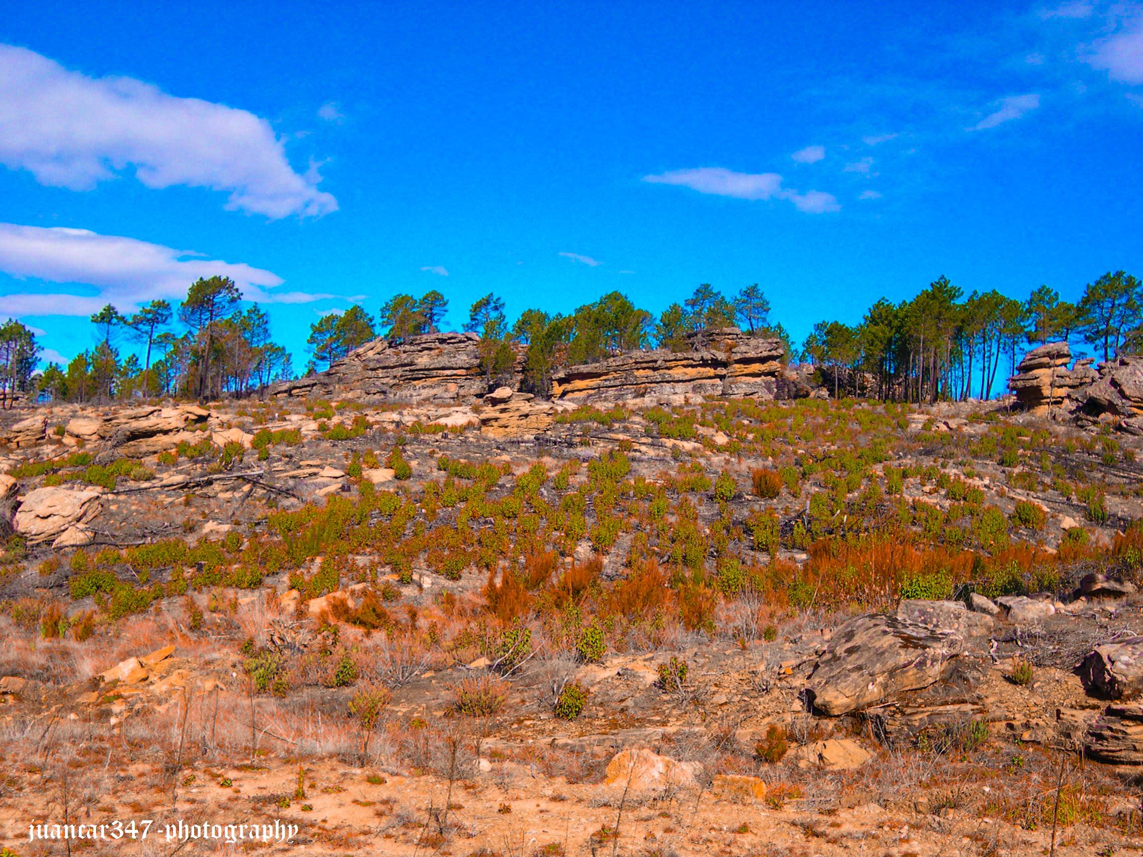 DSCN8438.JPG