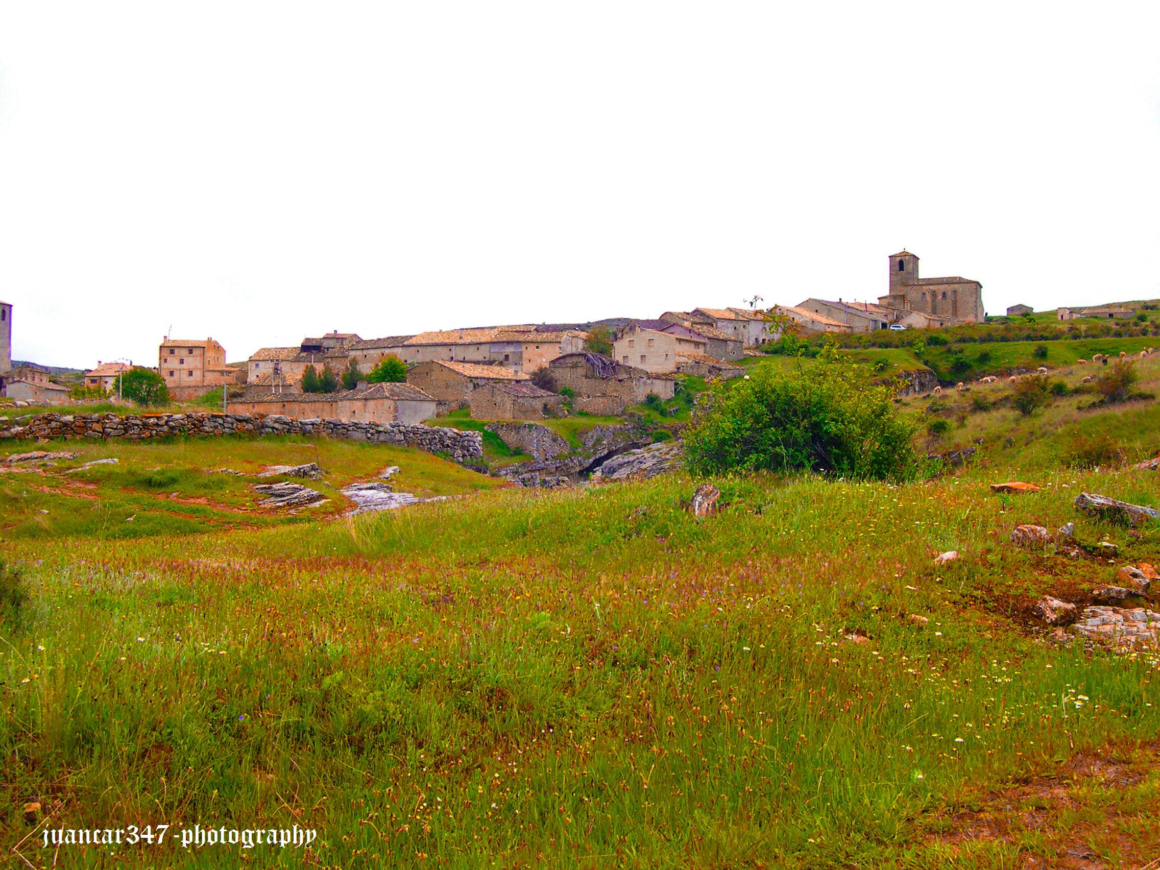 DSCN7430.JPG