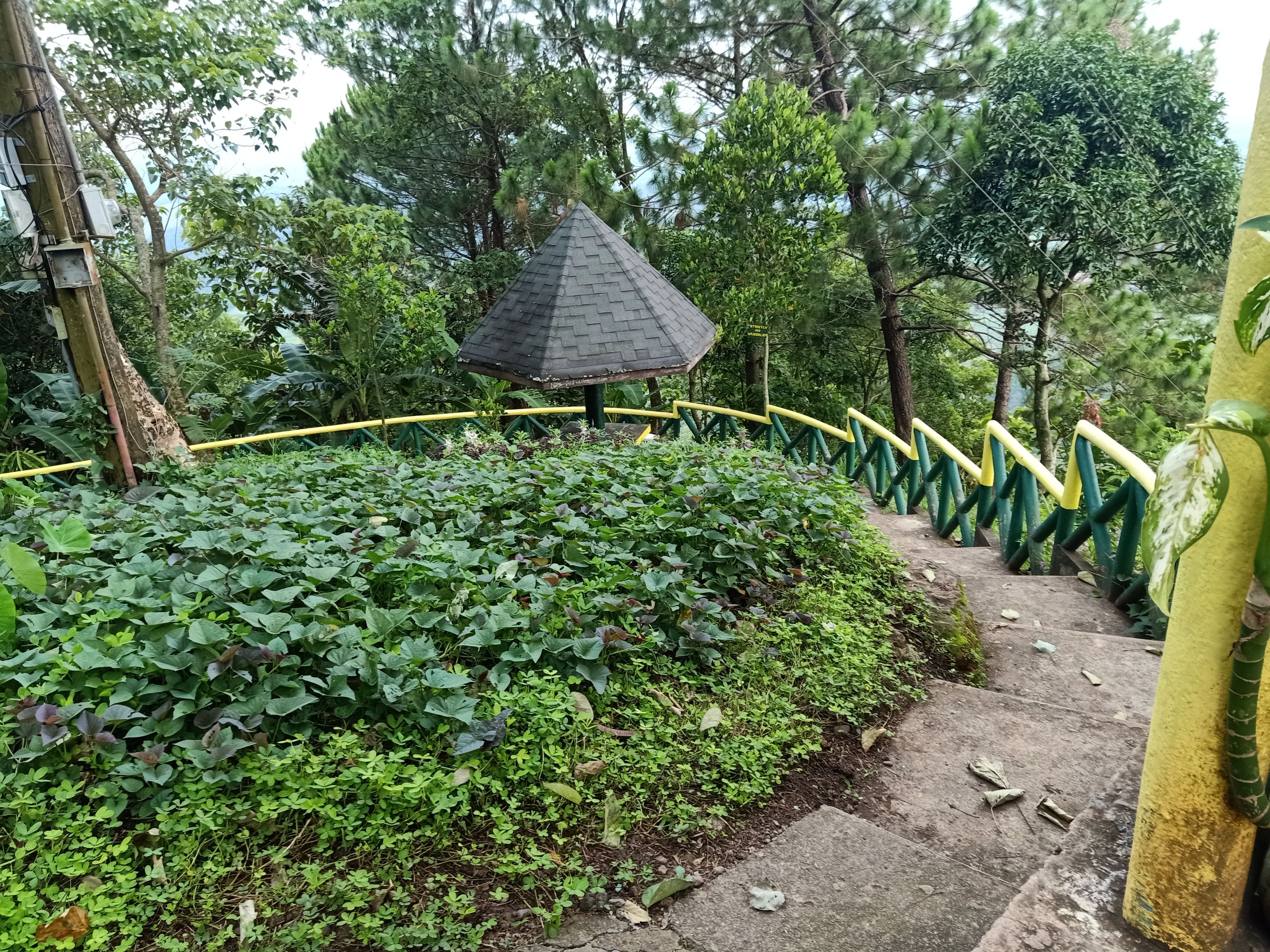 IMG20220912062826.jpg