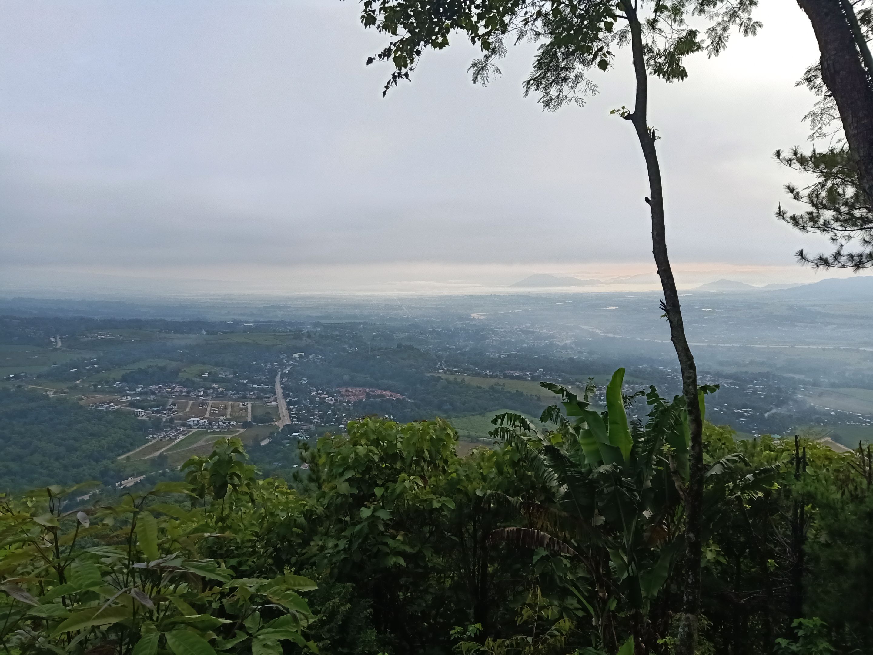 IMG20220912062911.jpg
