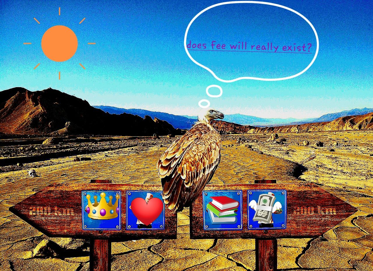 decision-2698883_1280.jpg