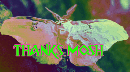 rainbow_moth_thumb2-moshed-05-01-10-16-52-527.gif