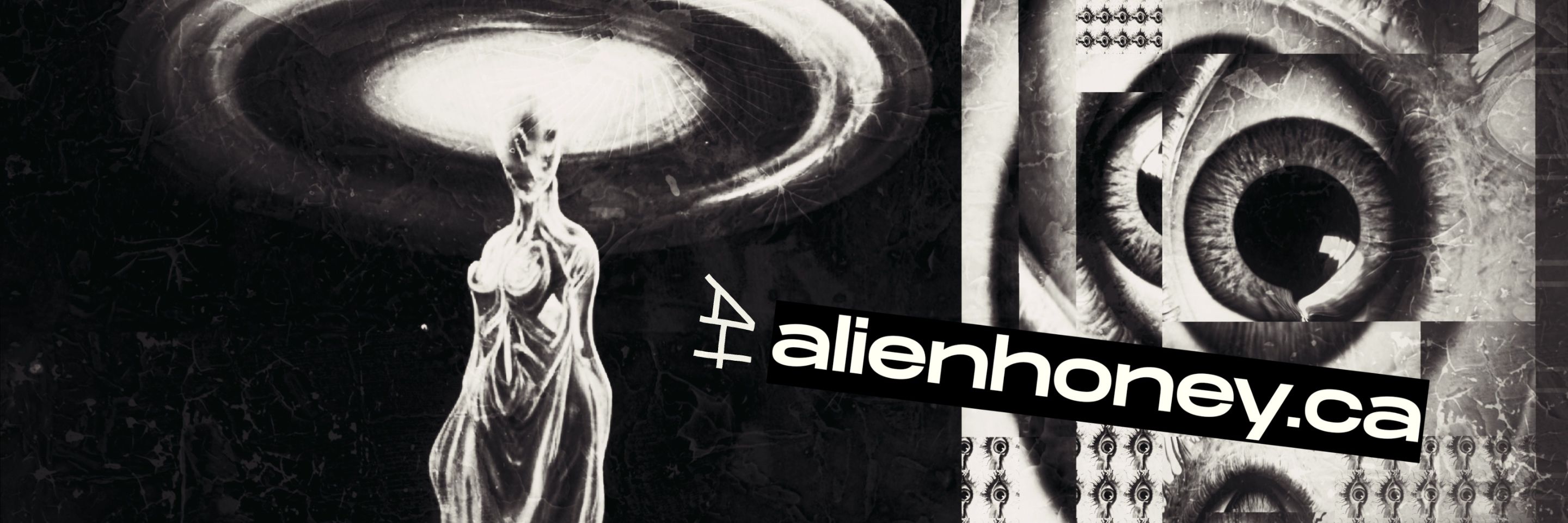 signal_banner.jpg