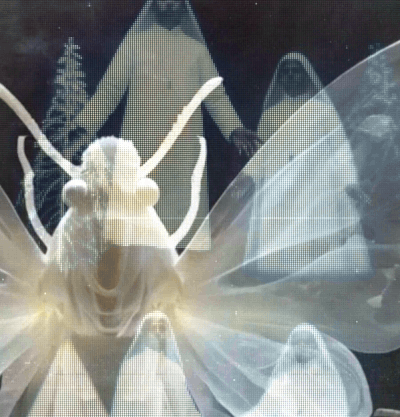 bw_moth.gif
