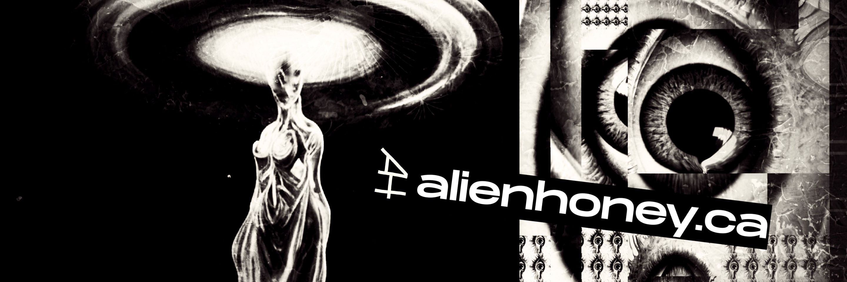 signal_twitter_banner.jpg