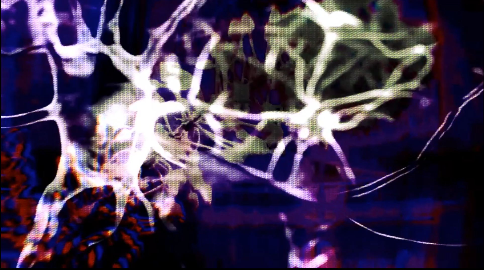 Screen Shot 2024-11-28 at 1.47.55 PM.png