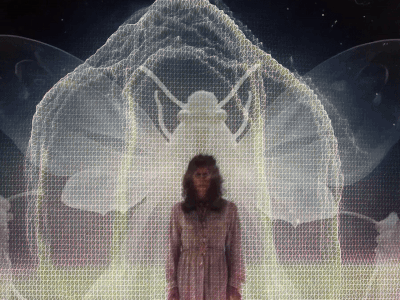 light_moth.gif
