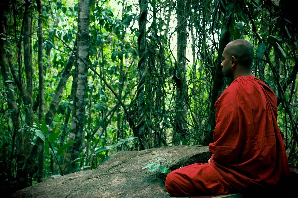 monk2 pixa.jpg