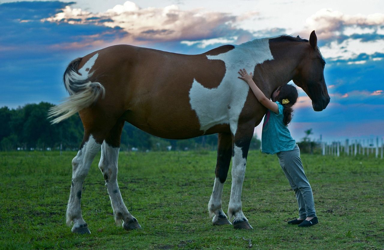 horse hug pix.jpg