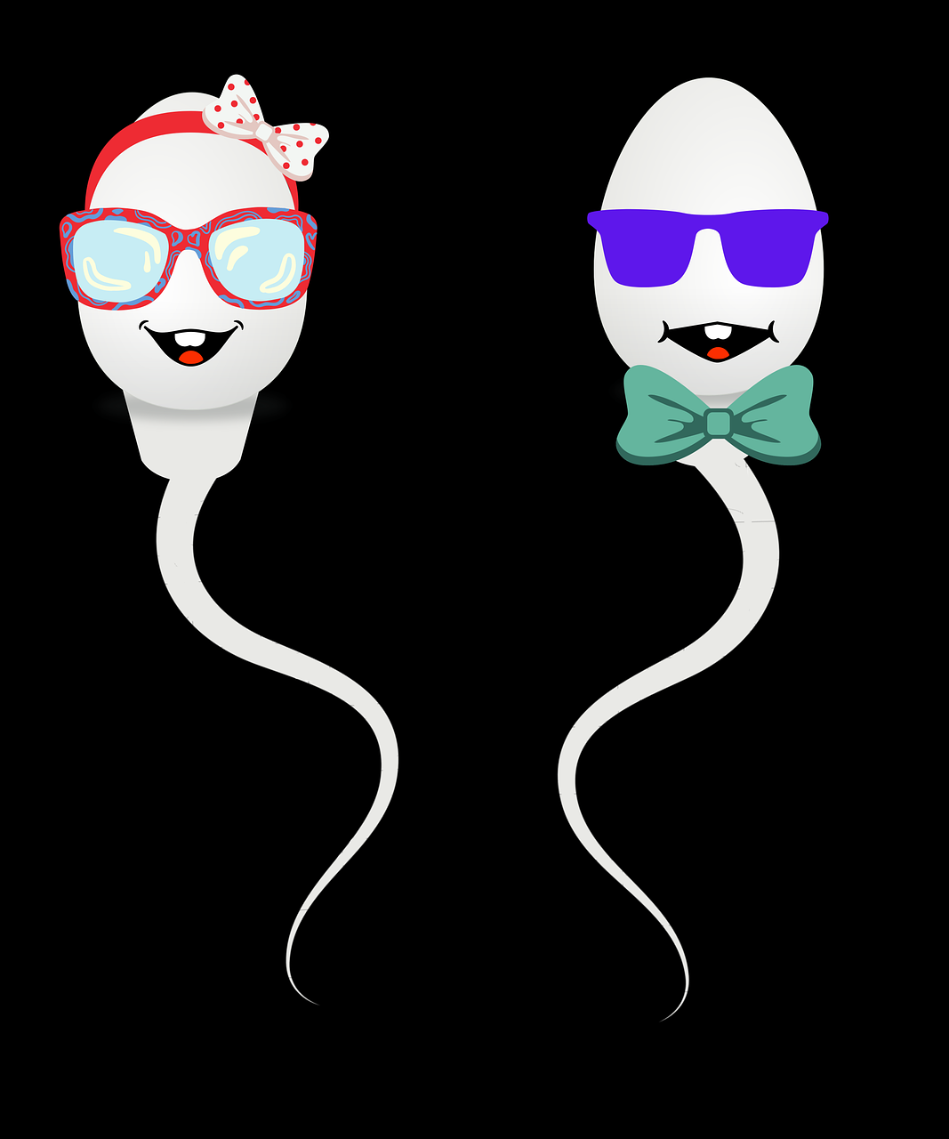 sperm-7454227_1280.png