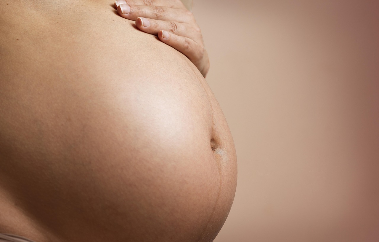 pregnant-2635034_1280.jpg