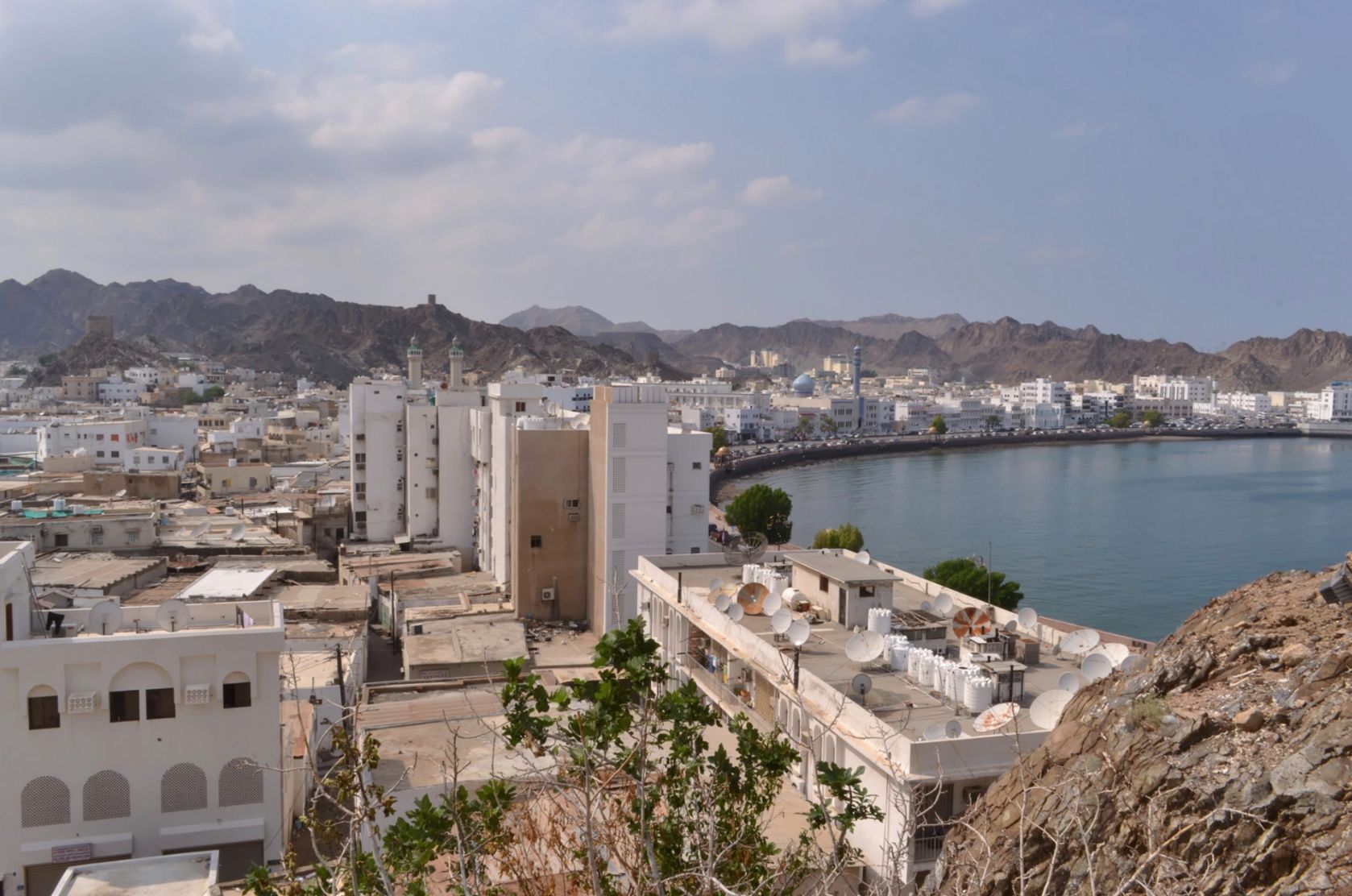 JuliusYls_Muscat_2.jpg