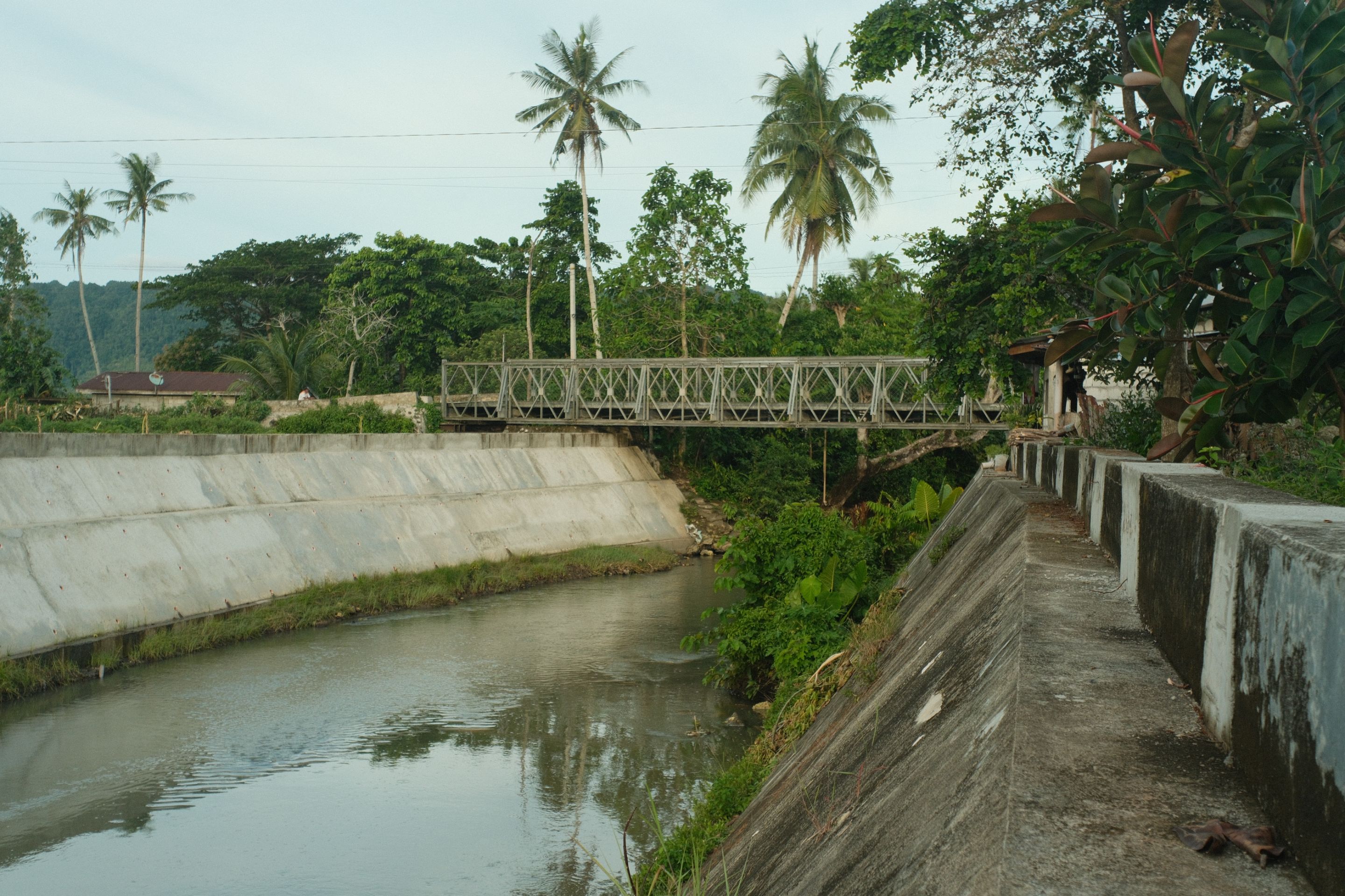 DSCF4565.JPG