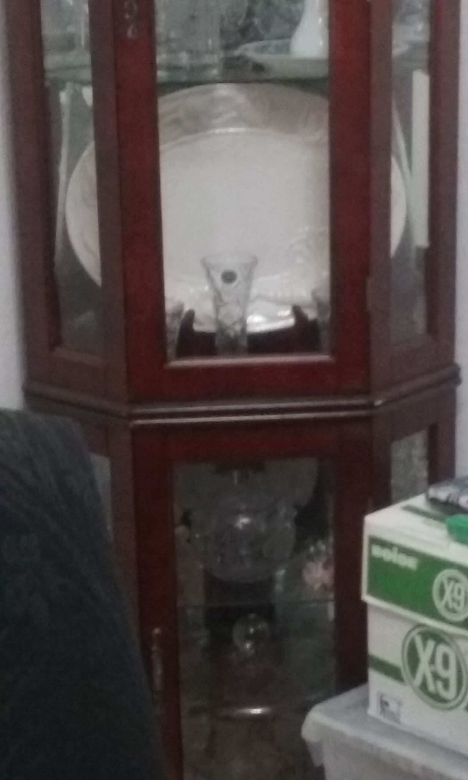 20230825_114138.jpg