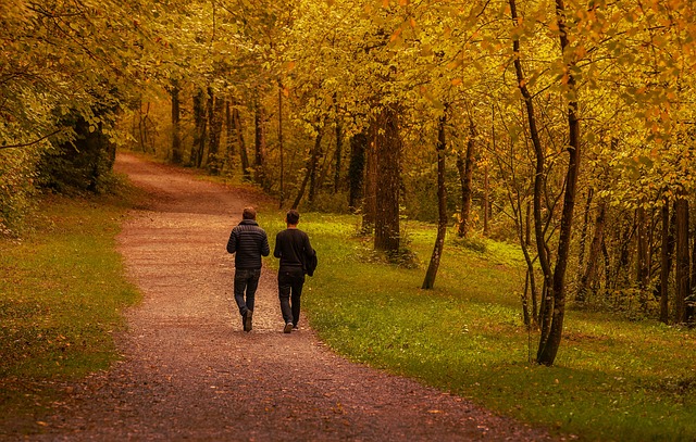 Pixabay-LN_Photoart-walking-human-3729591_640.jpg