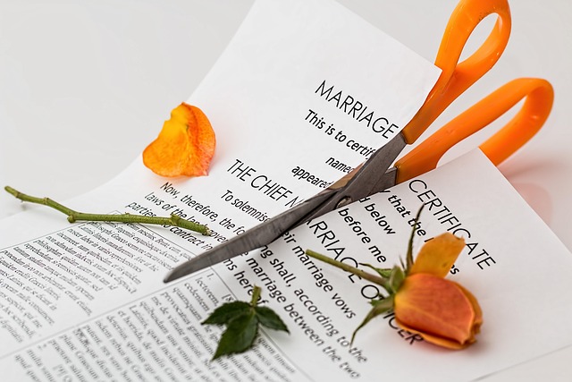 Pixabay-stevepb-divorce-619195_640.jpg