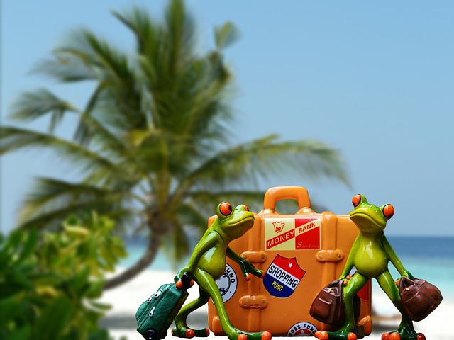 holiday-1172433__480.jpg