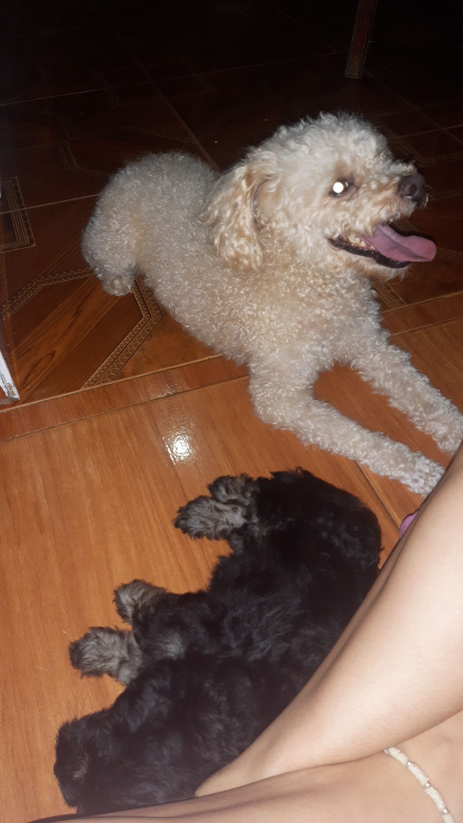 IMG-20220918-WA0059.jpeg