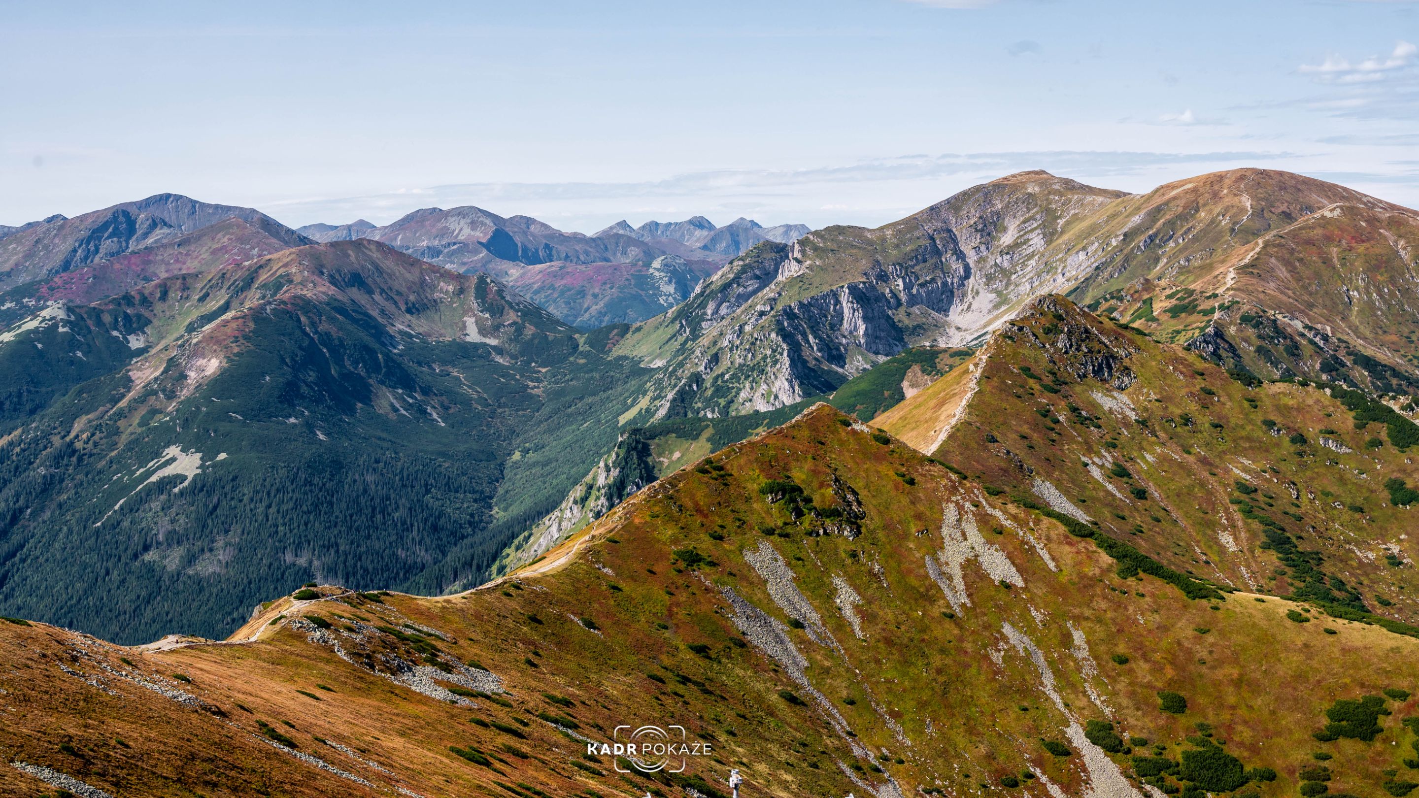 DSC_3219.jpg