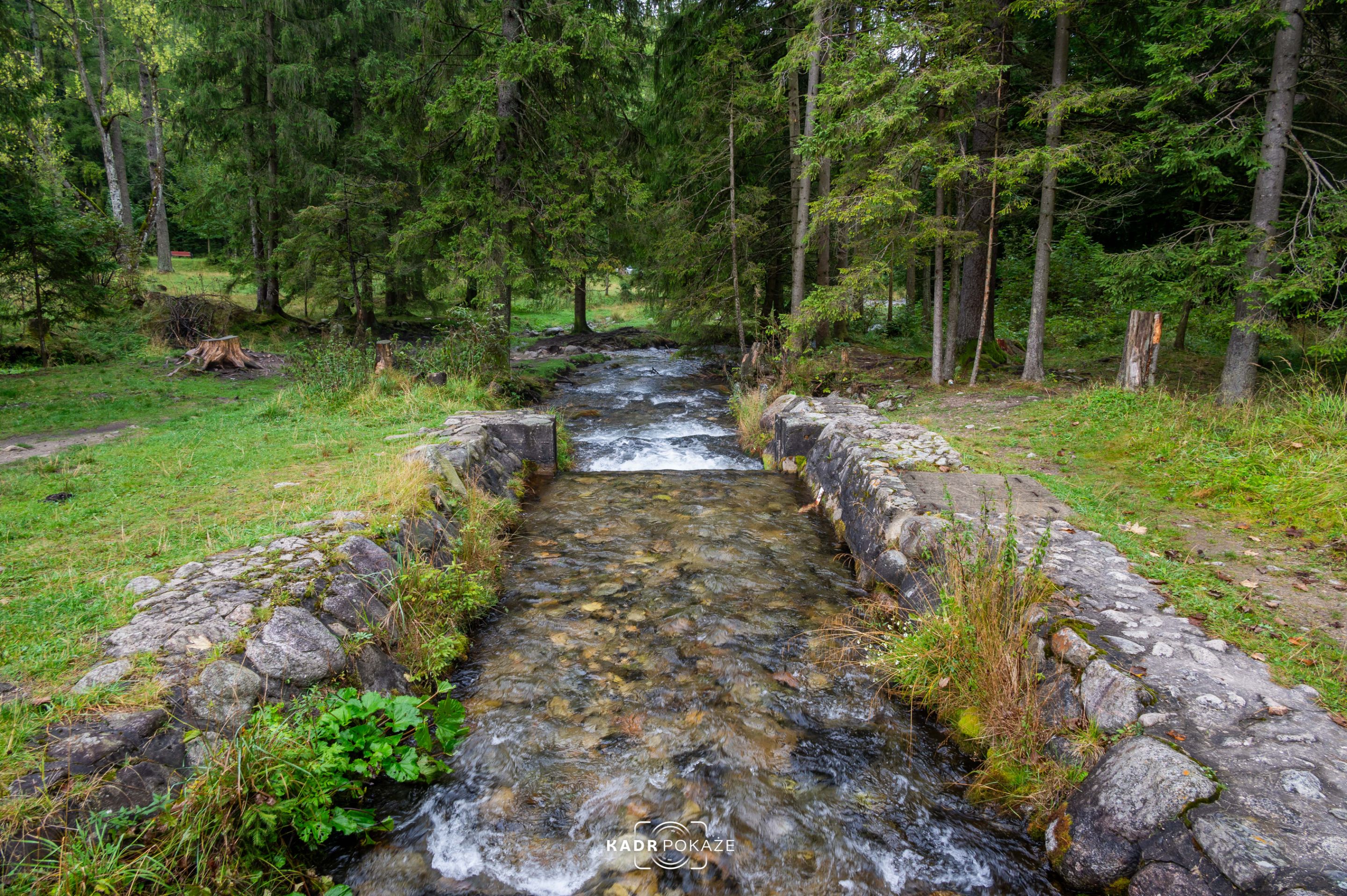 DSC_3024.jpg