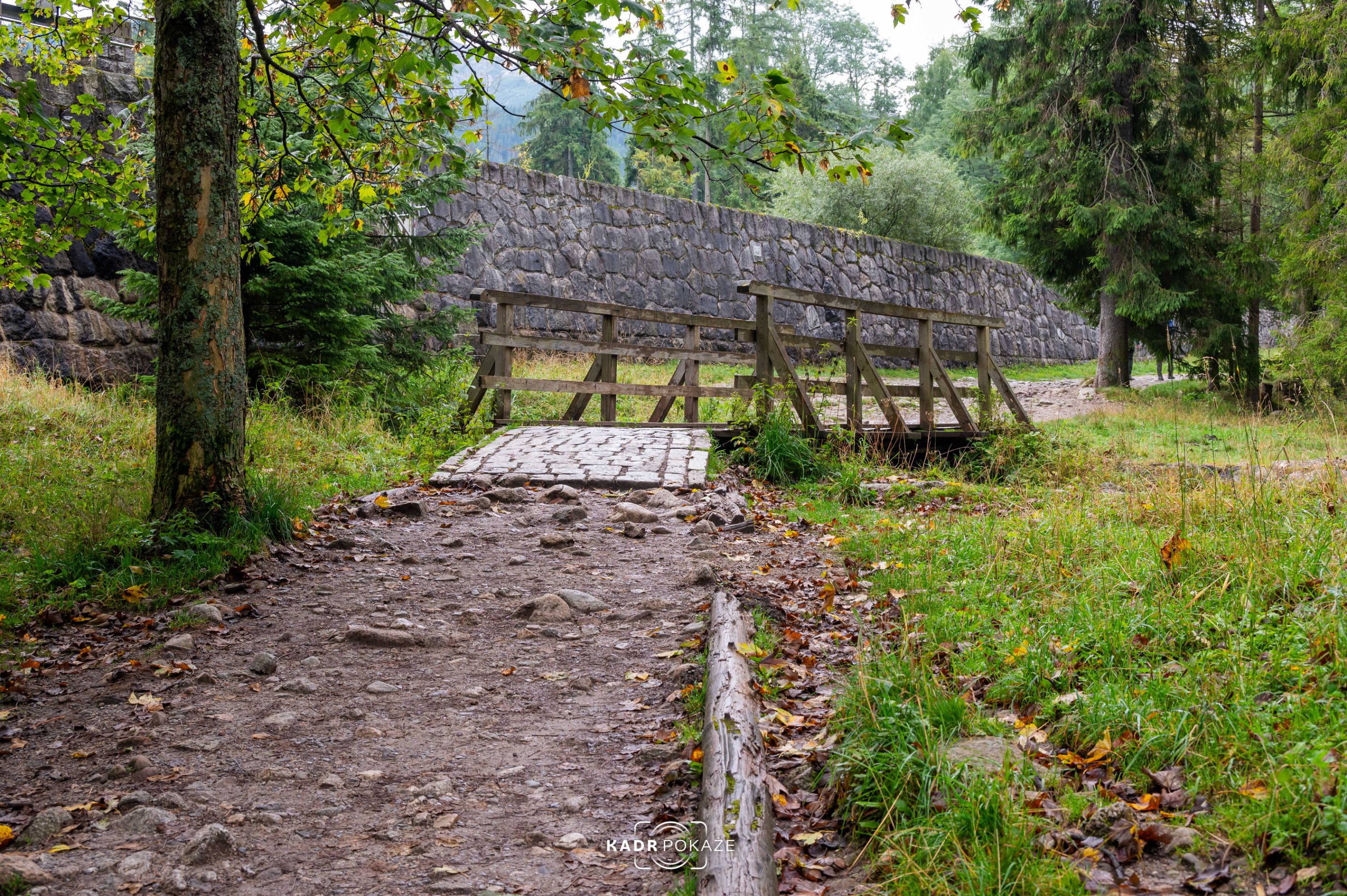 DSC_3023.jpg