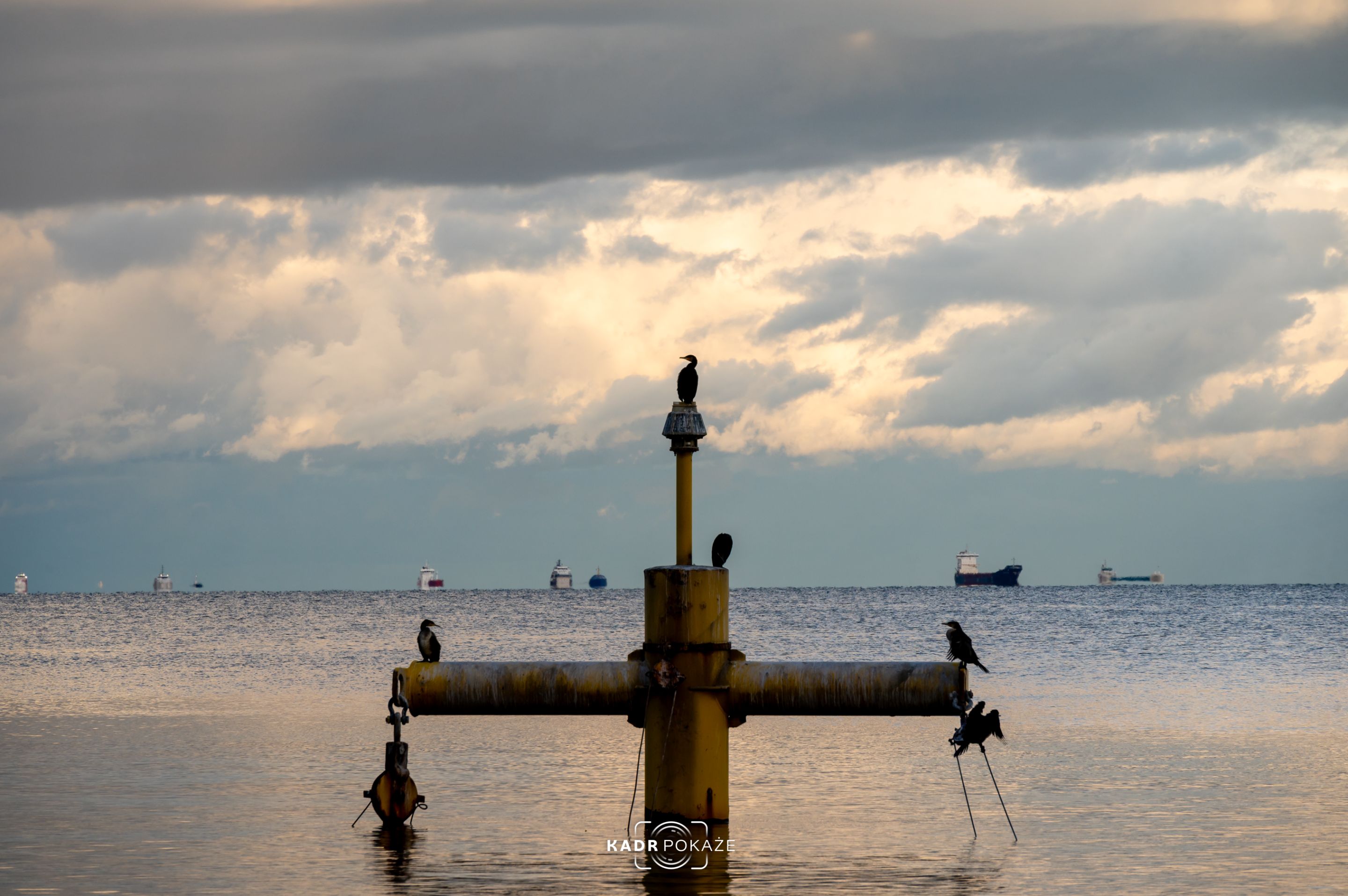 DSC_1365.jpg