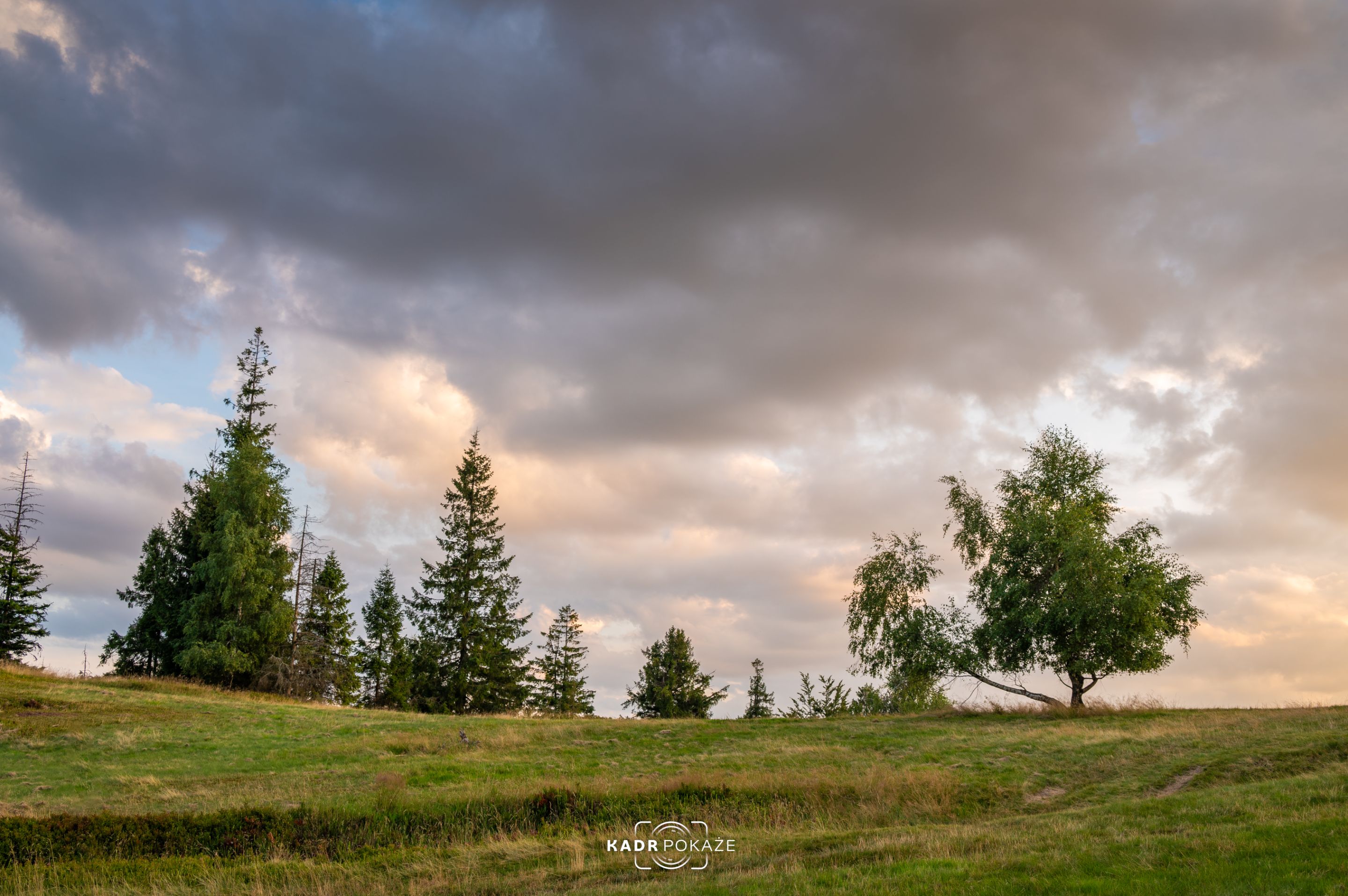 DSC_1124.jpg