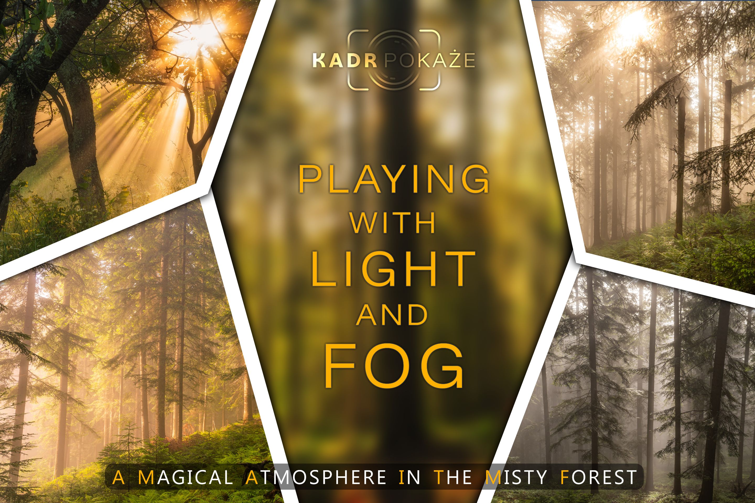 Magical Forest.jpg