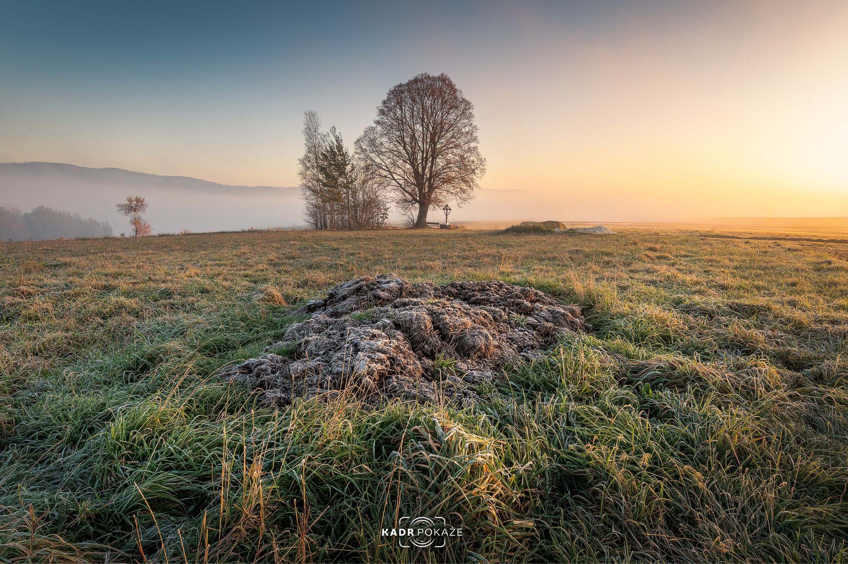 DSC_0875-HDR-Edytuj.jpg