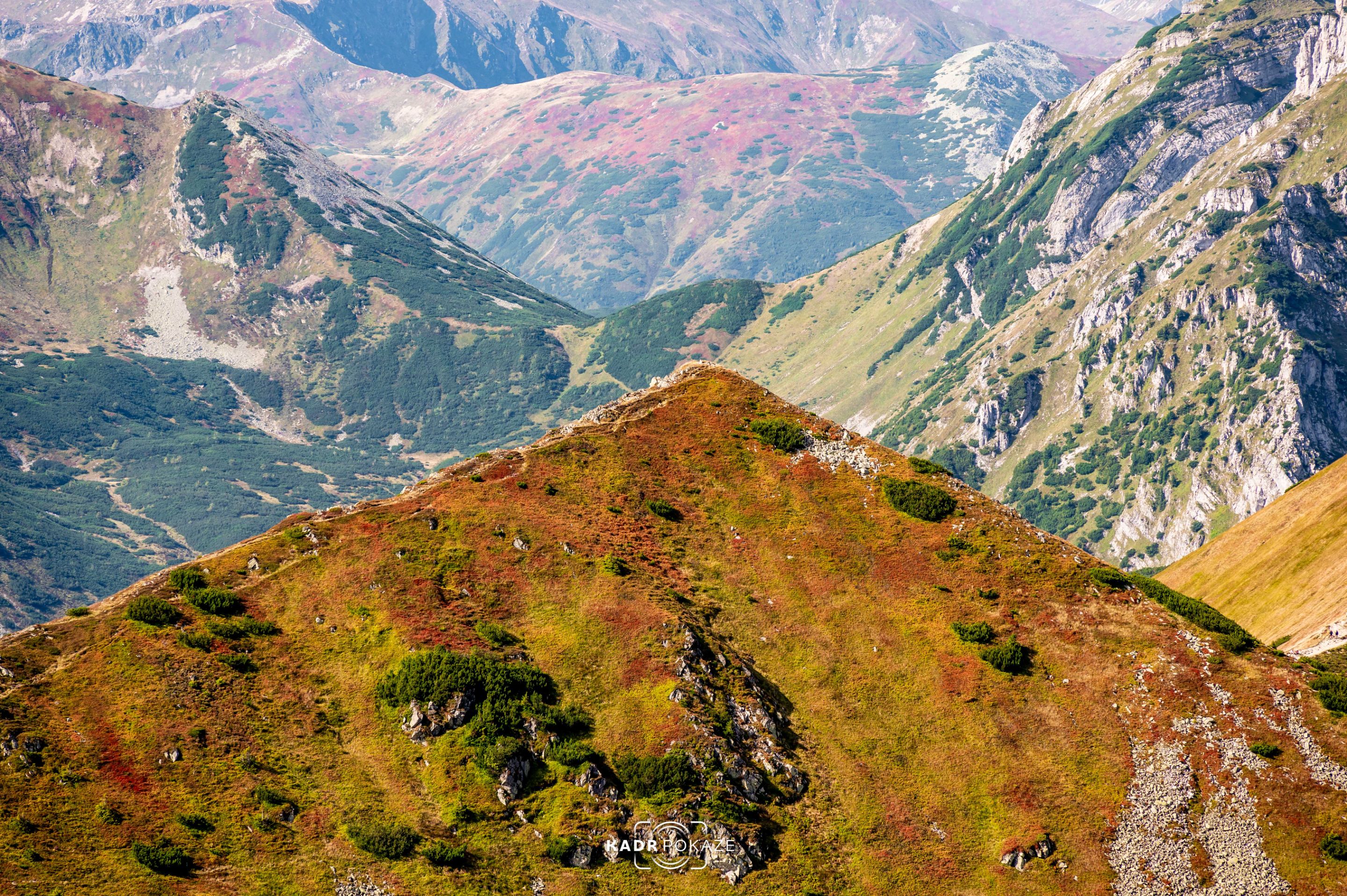 DSC_3209.jpg