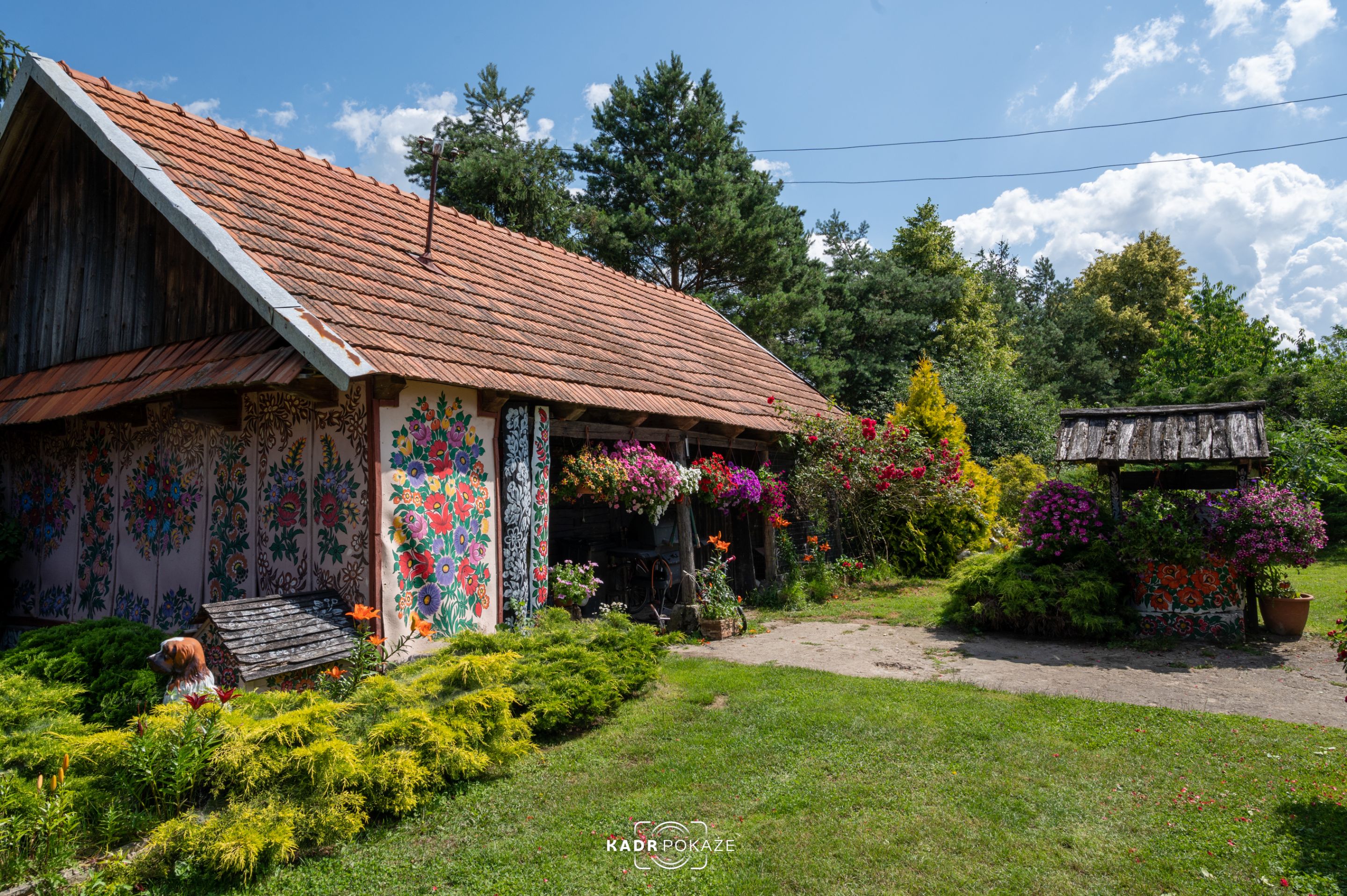 DSC_5248.jpg