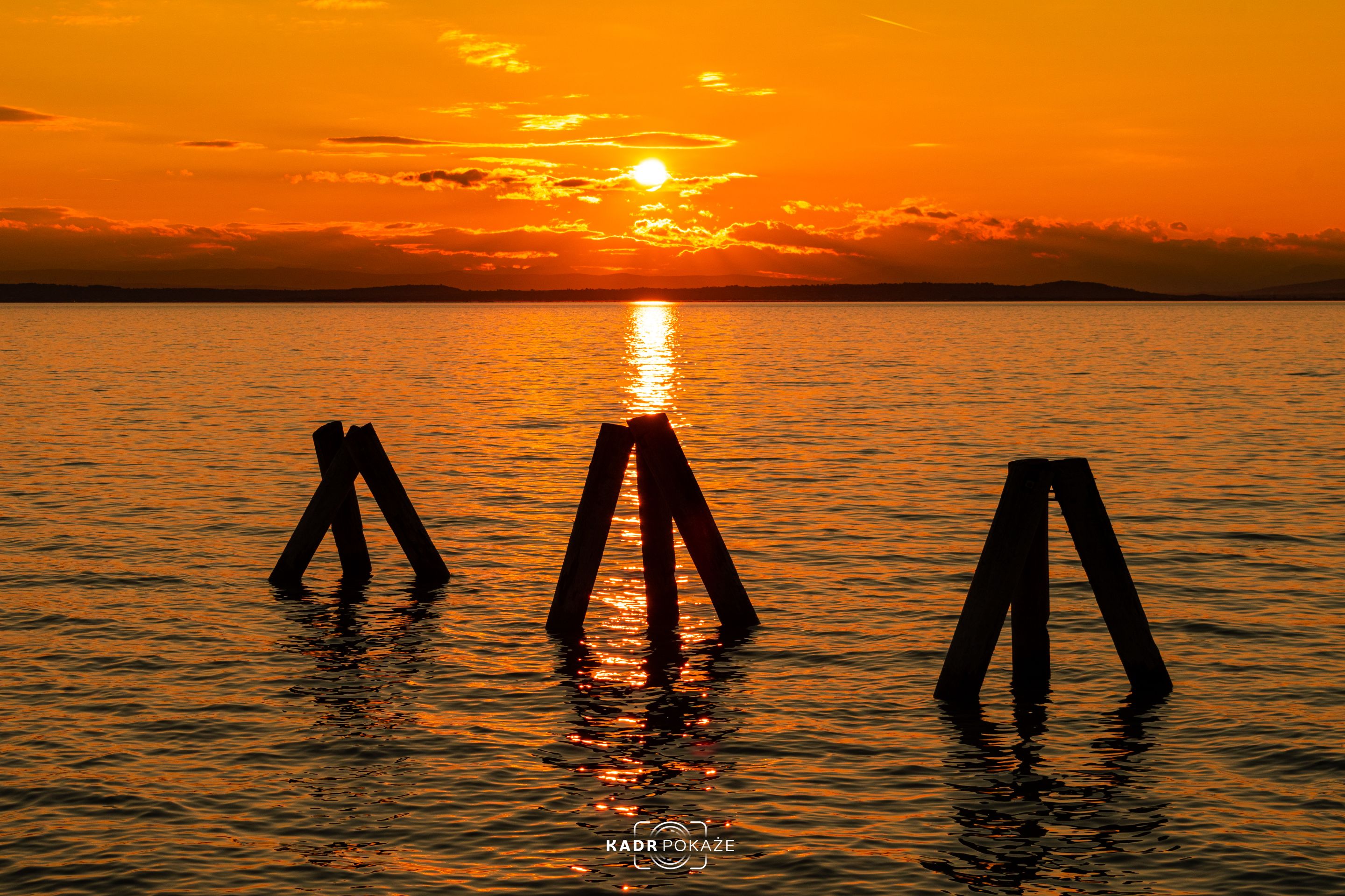 DSC_5919.jpg