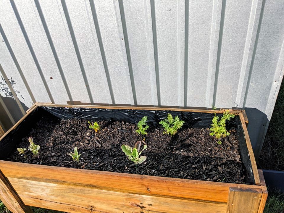 otherplanter.jpg