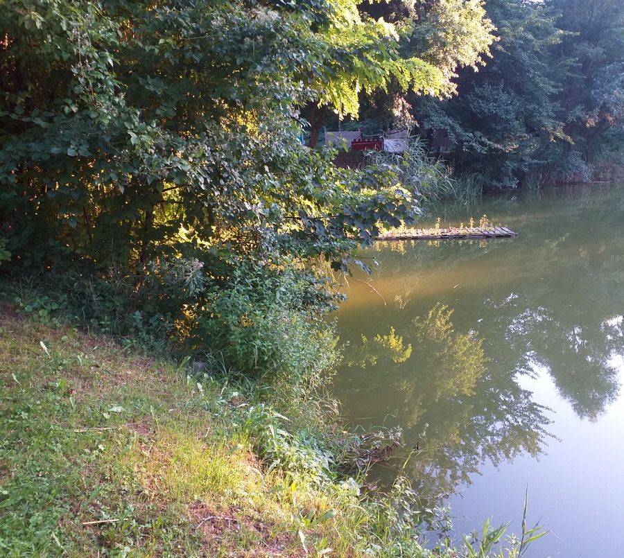 20210802_191555.jpg