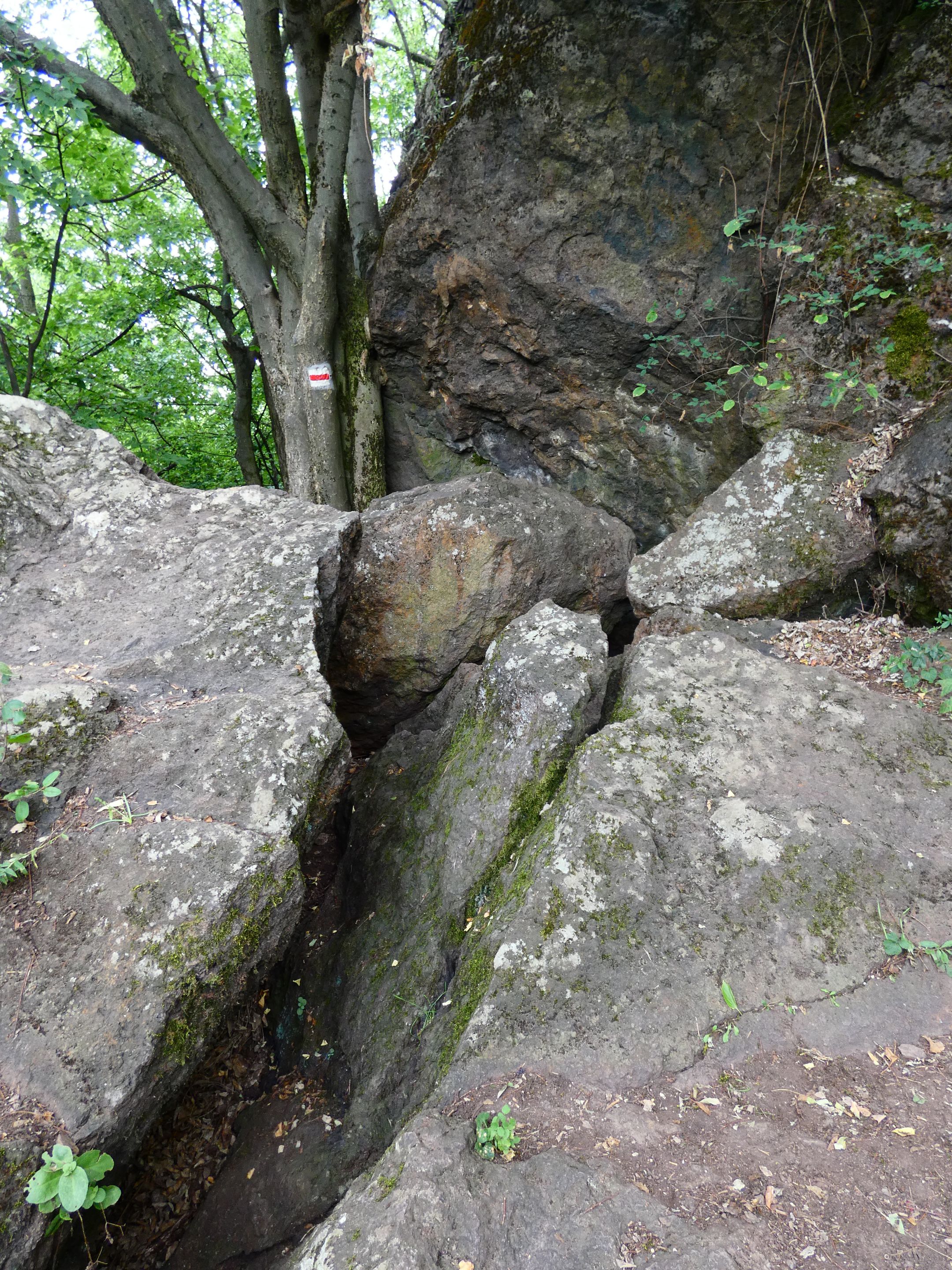 P1370976.JPG