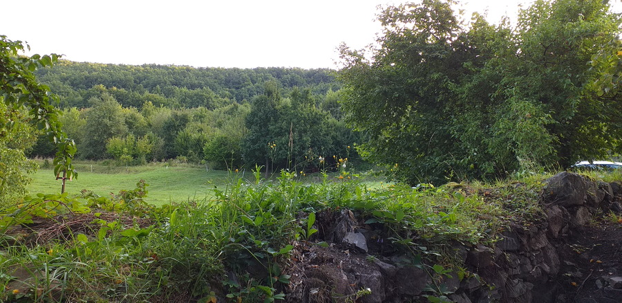 20210821_070840.jpg