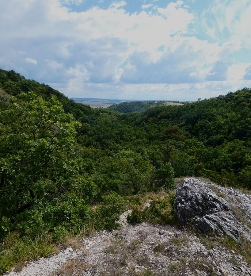 P1380022.jpg