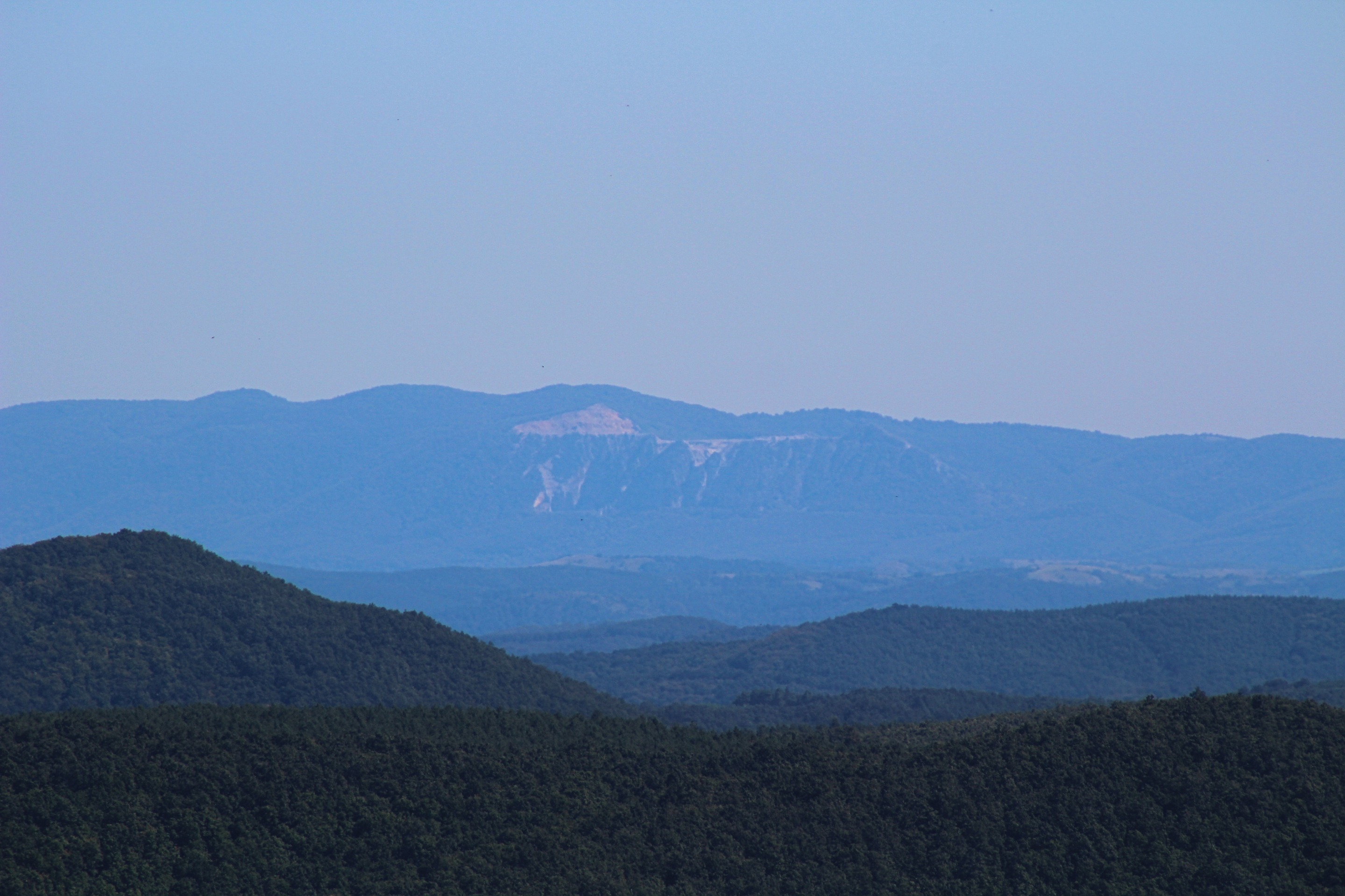 IMG_8433.jpg